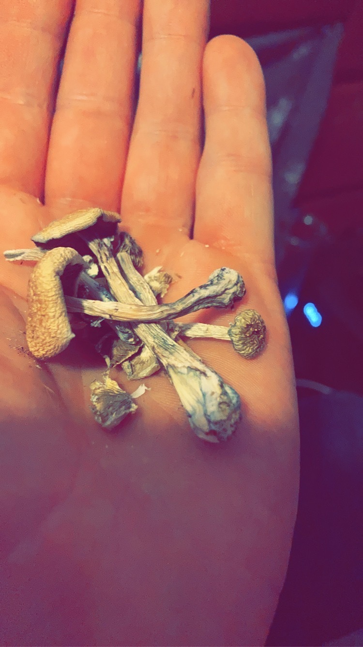 Tyler OnlyFans header