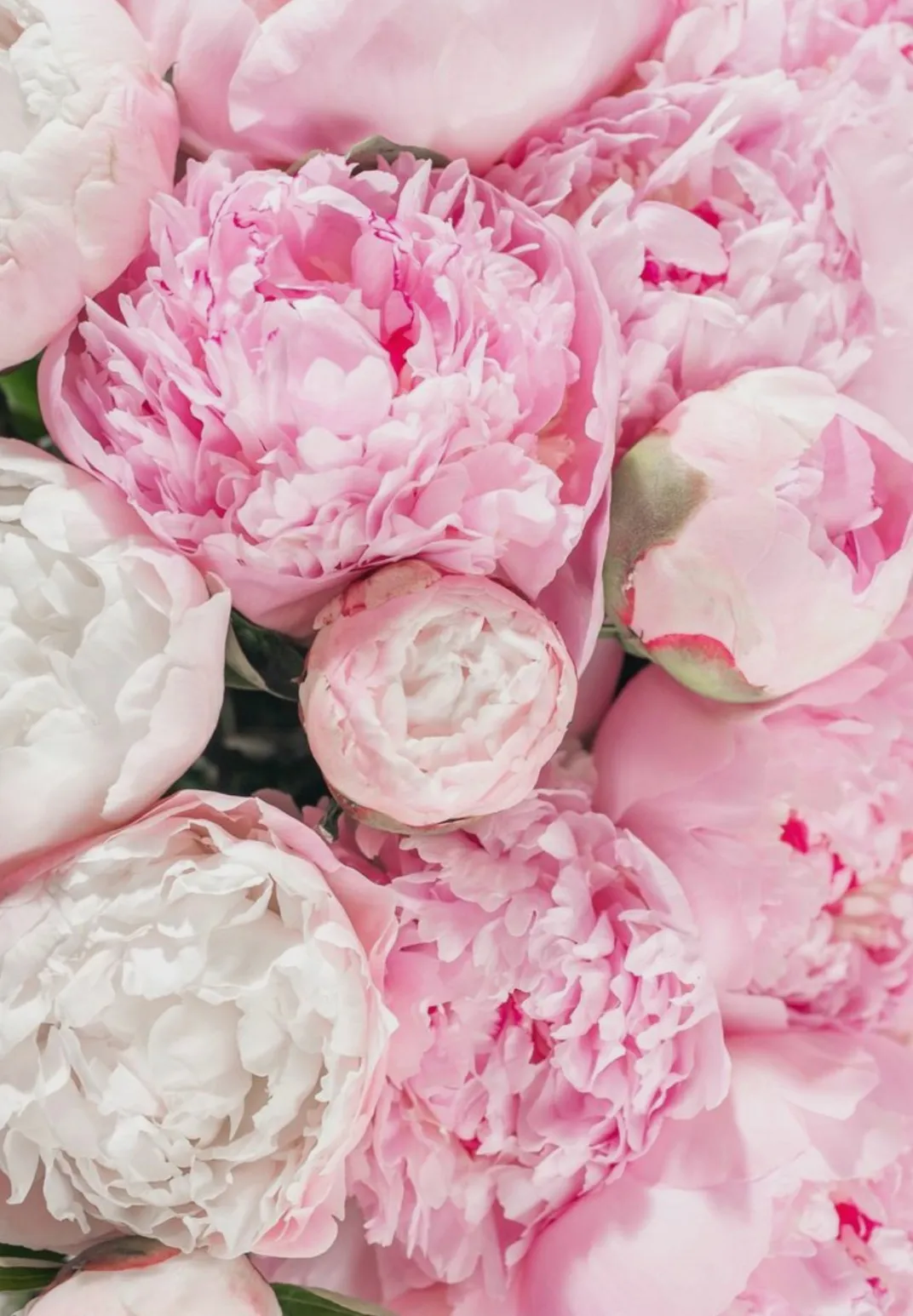 Faye❤😈 OnlyFans header