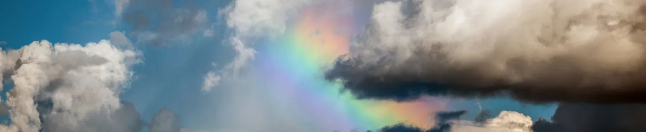 Whole Lotta Roxxi OnlyFans header