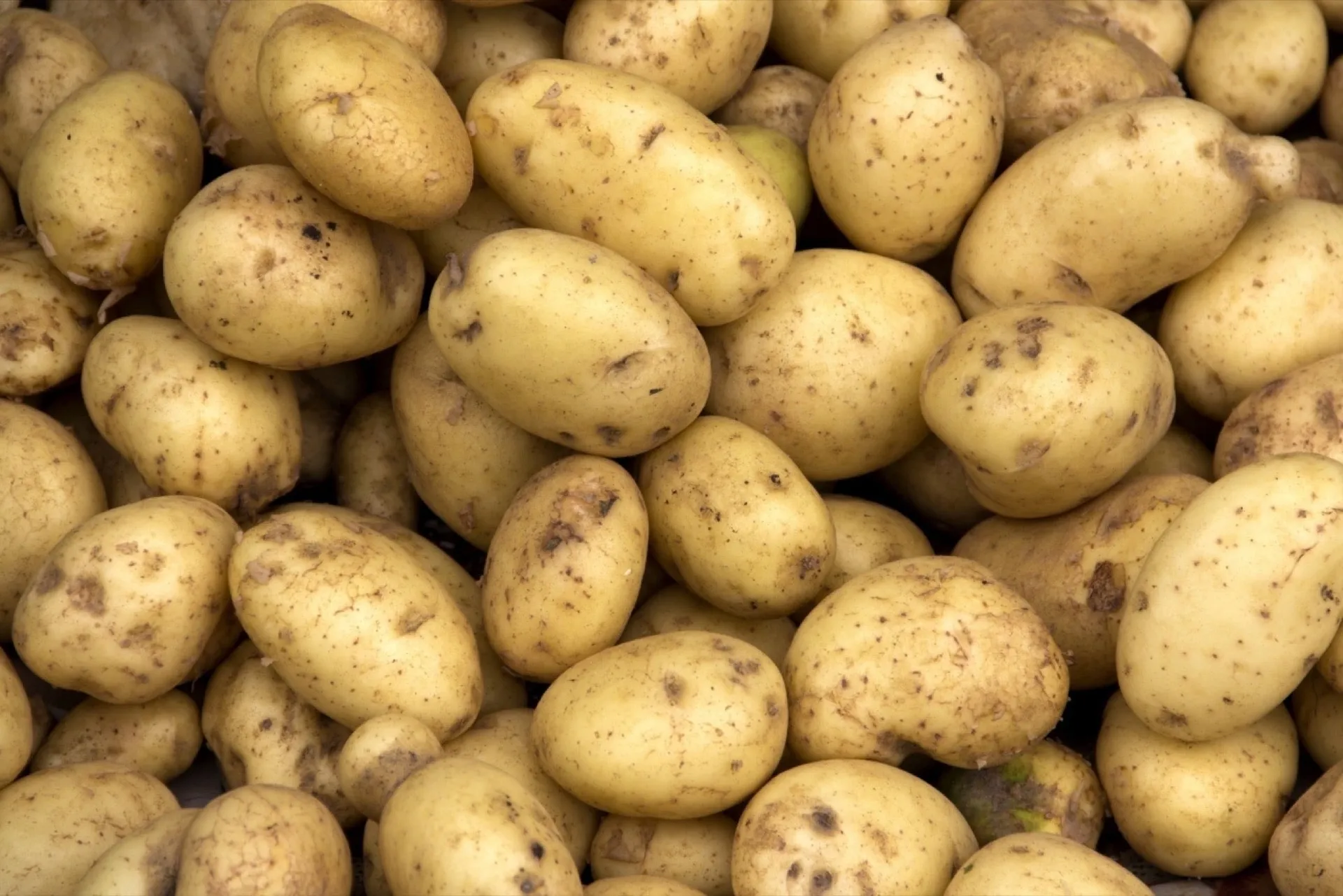 Potatoes OnlyFans header