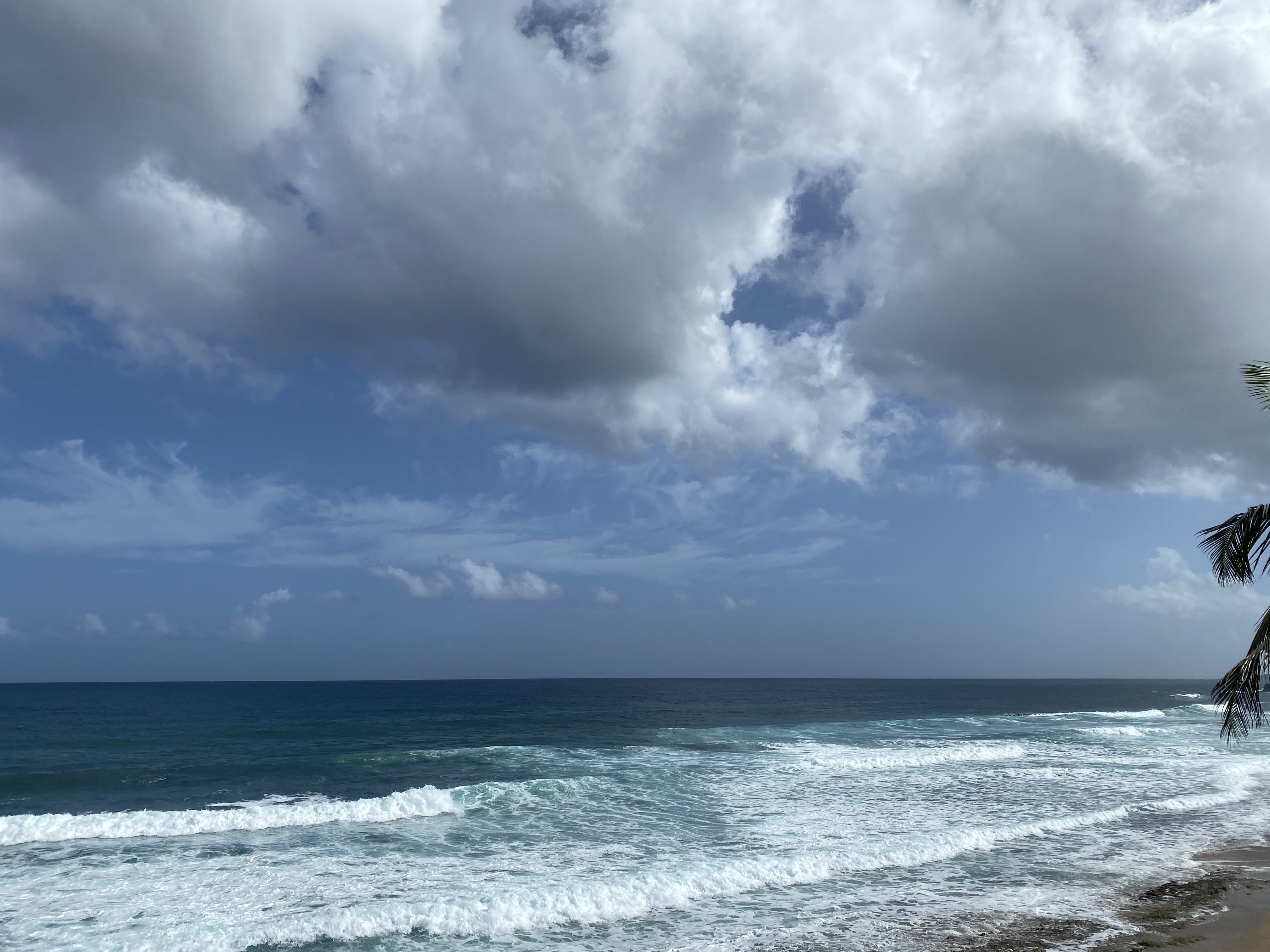 Wholesome Boyfriend OnlyFans header