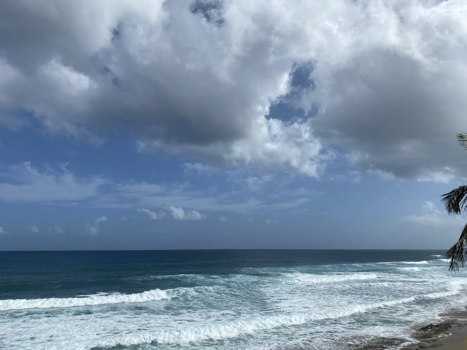 Wholesome Boyfriend OnlyFans header