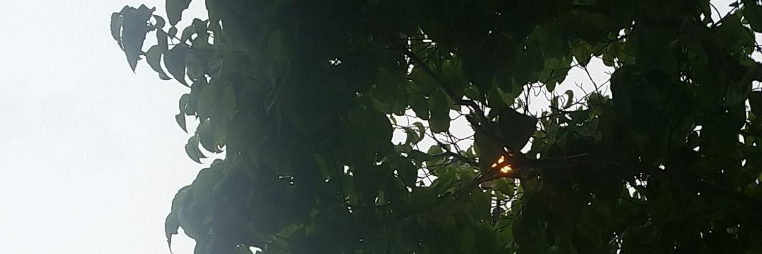 Oo o OnlyFans header