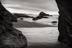 Who Is She? OnlyFans header