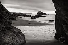 Who Is She? OnlyFans header