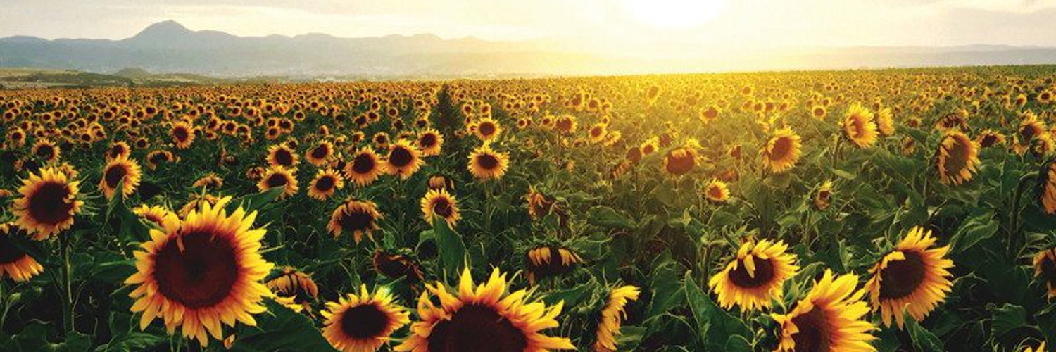 alex⚡ OnlyFans header