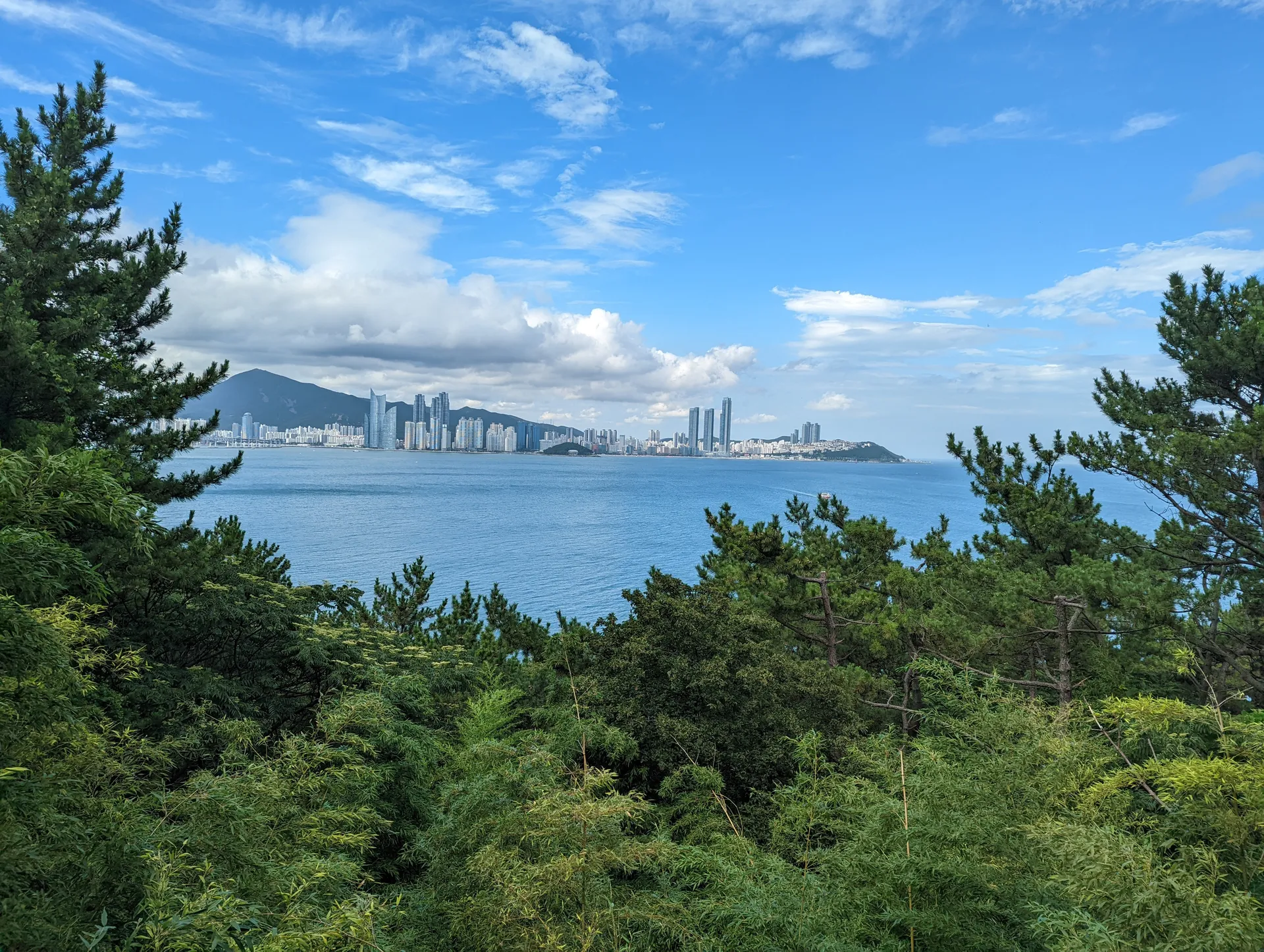 Whoranta OnlyFans header