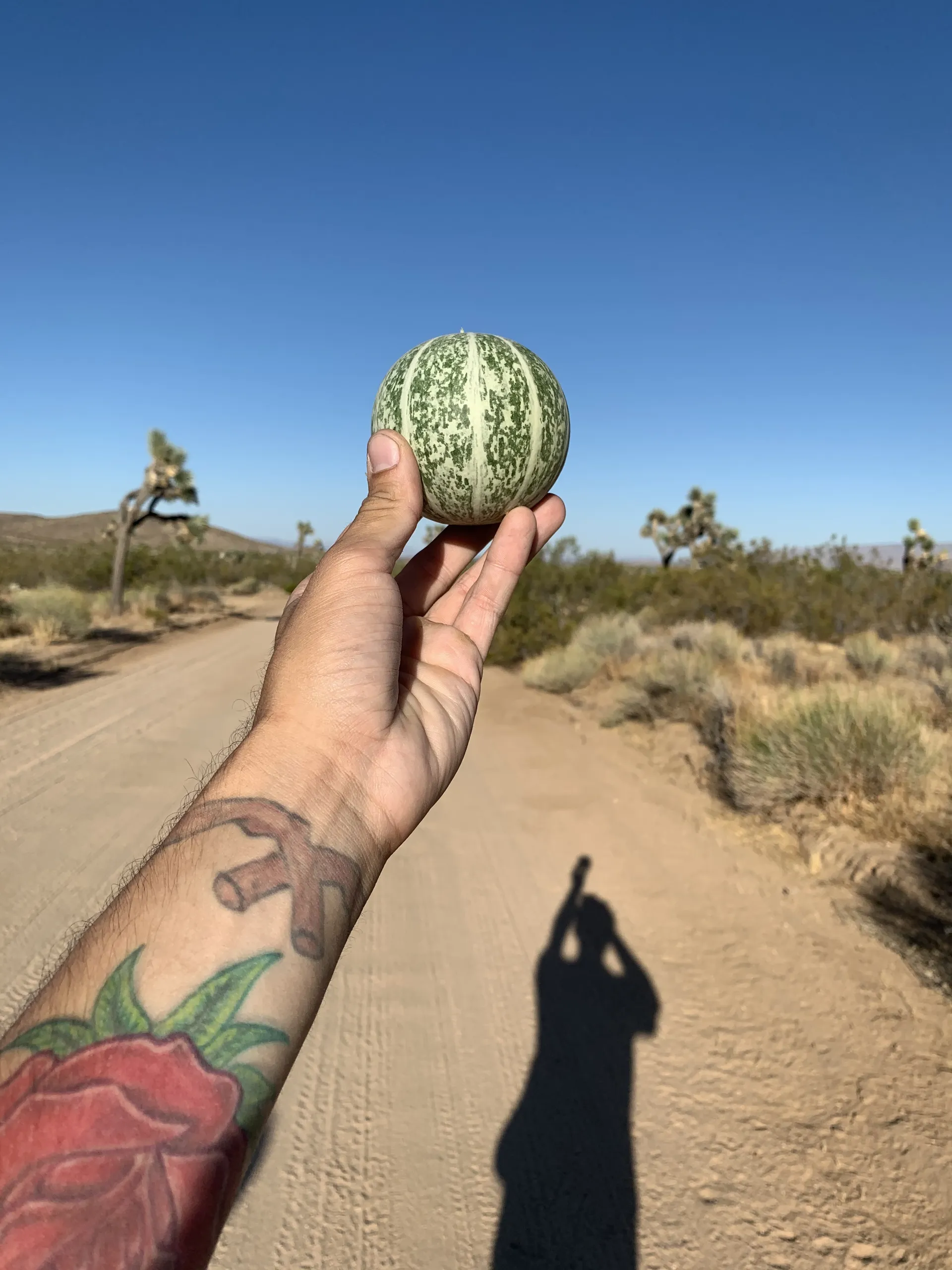 dior whore OnlyFans header