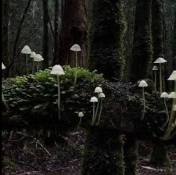 <333 OnlyFans header