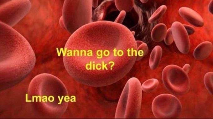 wHorridFear OnlyFans header