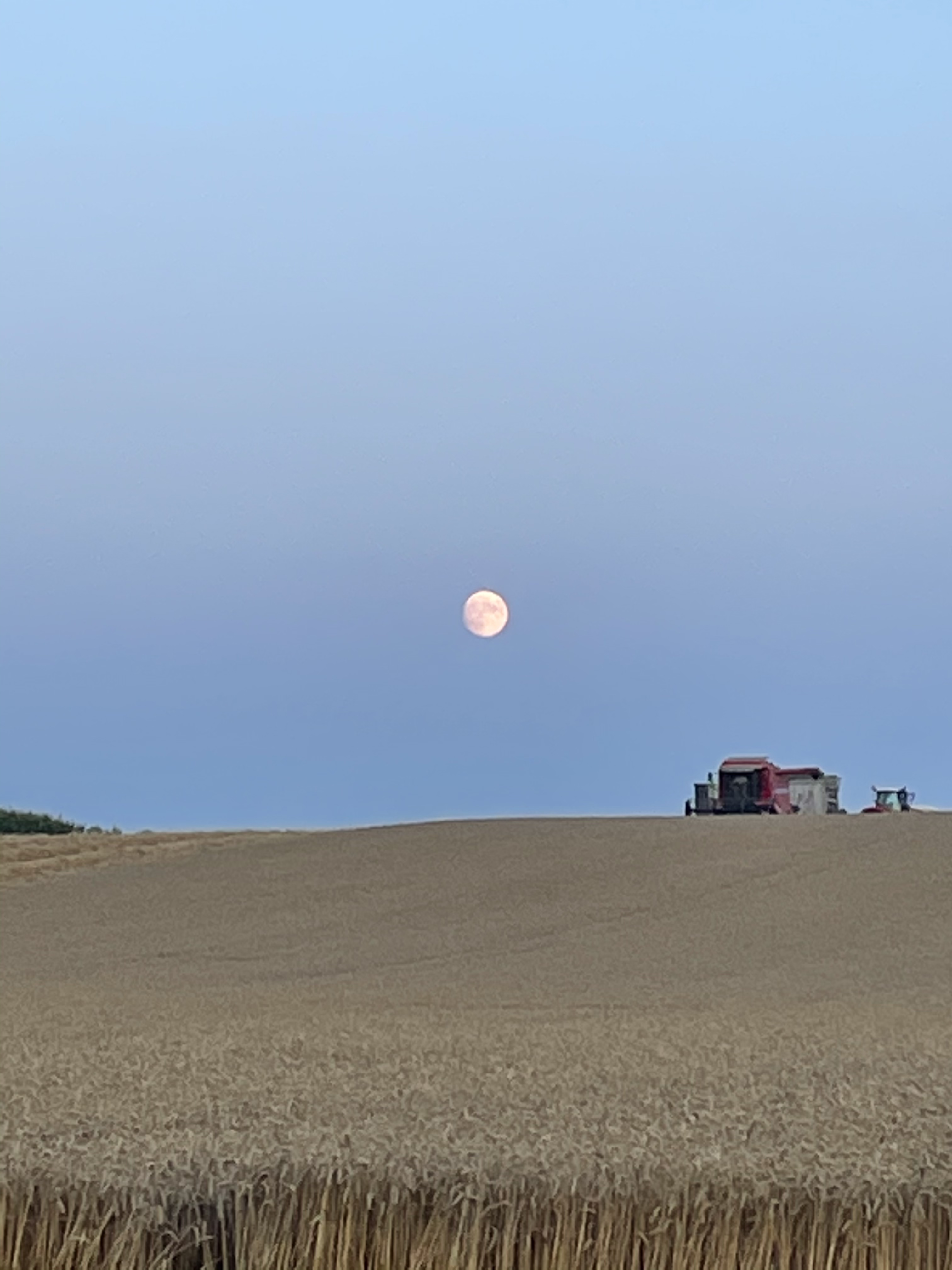 alexandria OnlyFans header