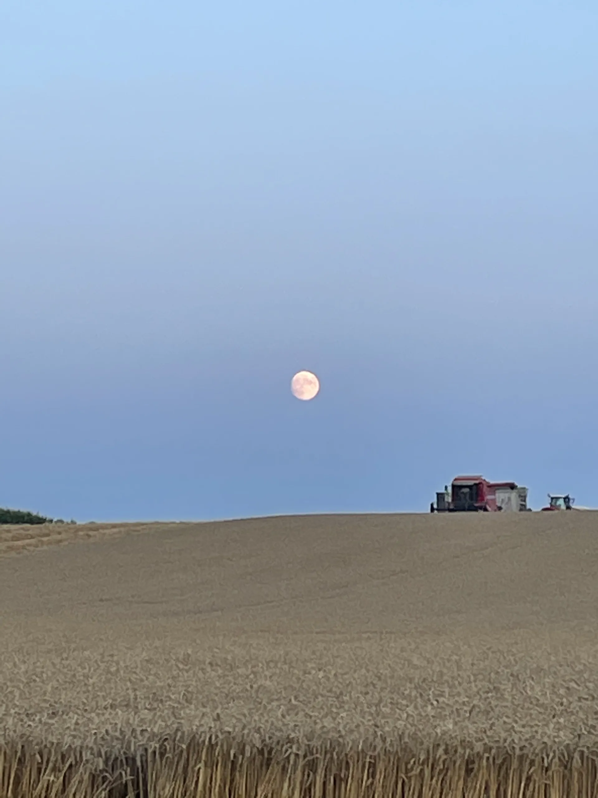 alexandria OnlyFans header