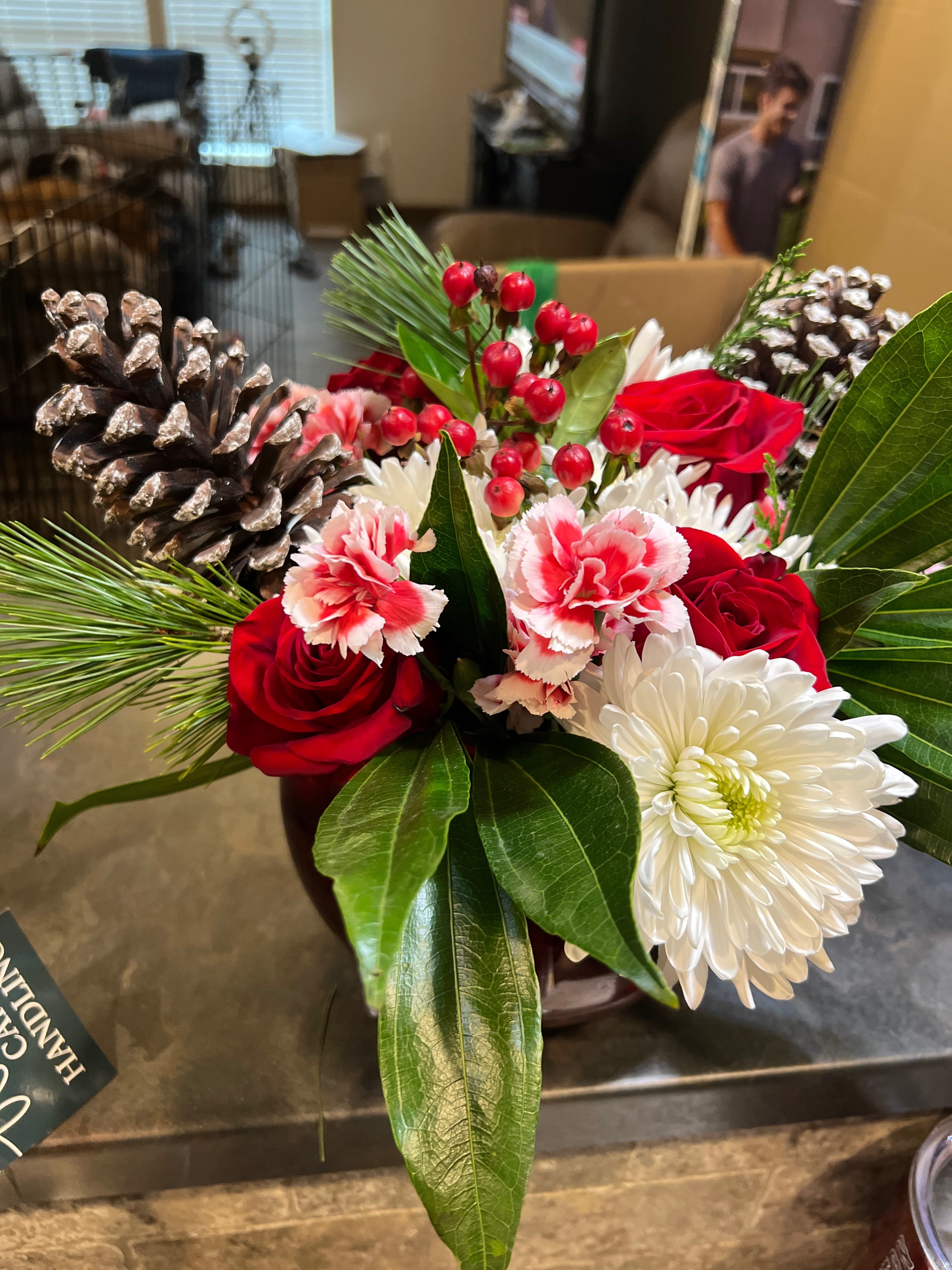 Kelli OnlyFans header