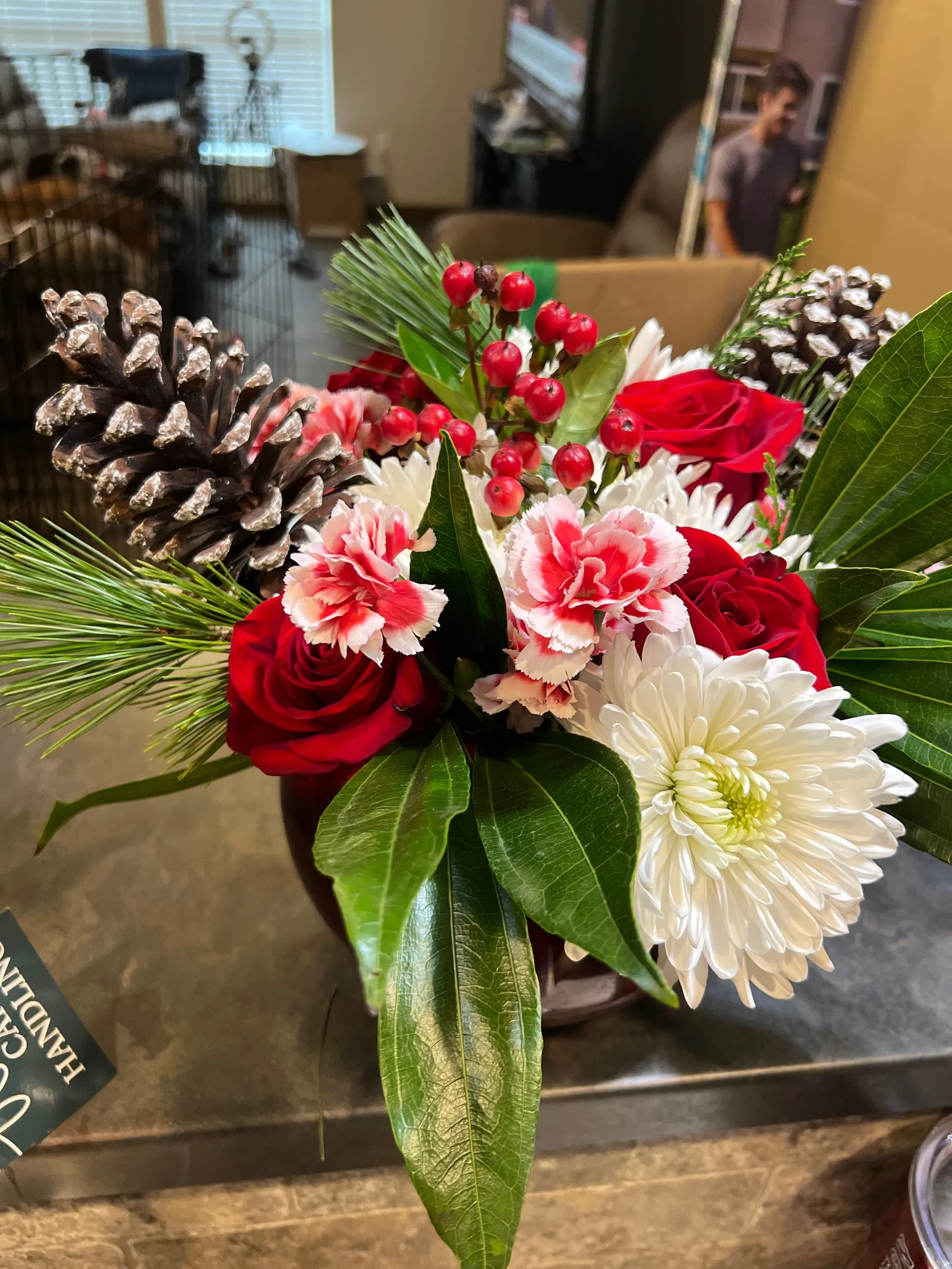 Kelli OnlyFans header