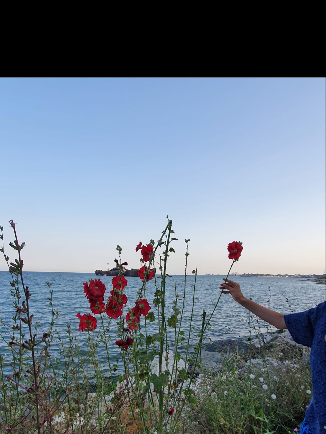 Darius OnlyFans header