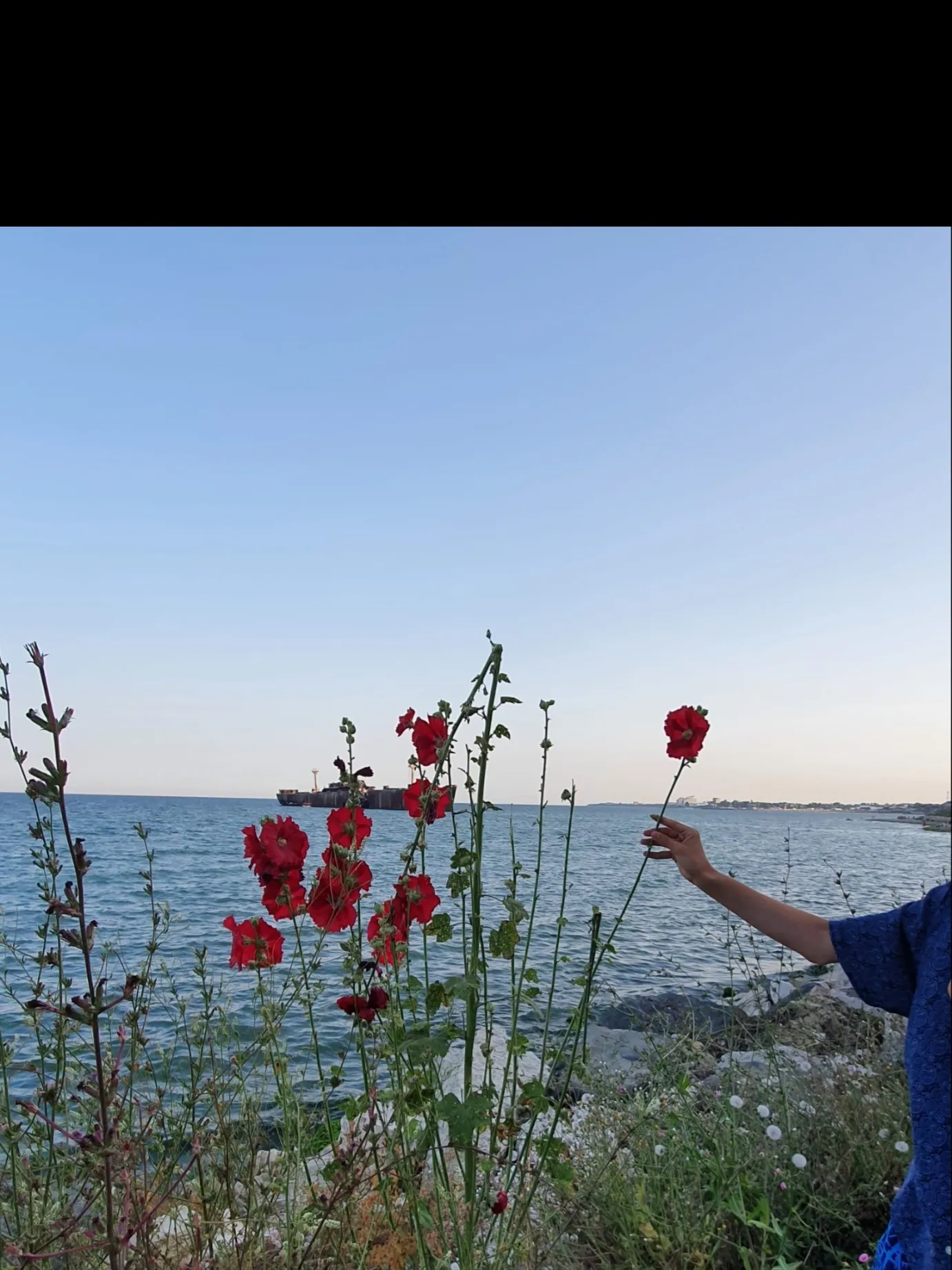 Darius OnlyFans header