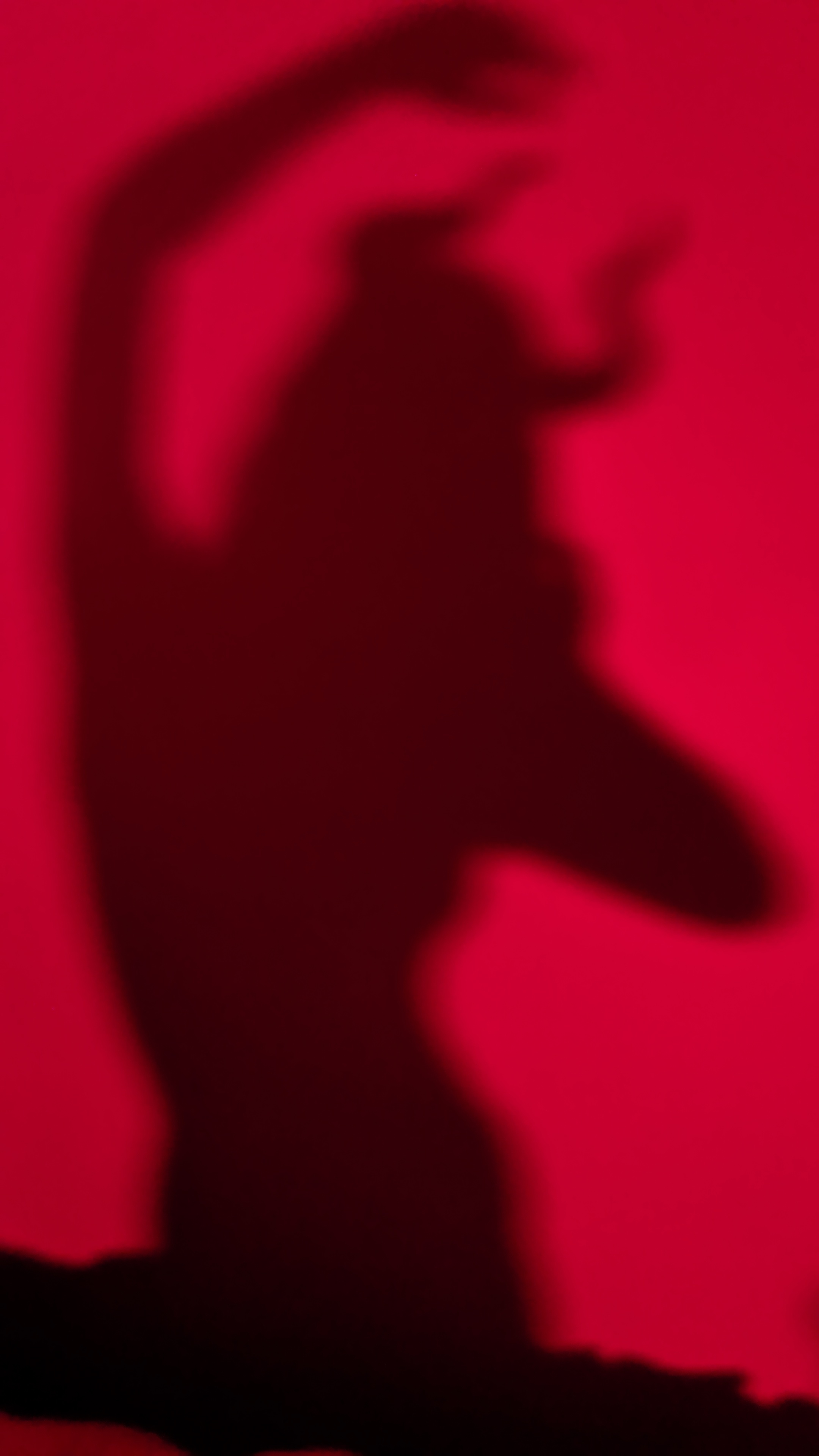 Why Not? Live a Little OnlyFans