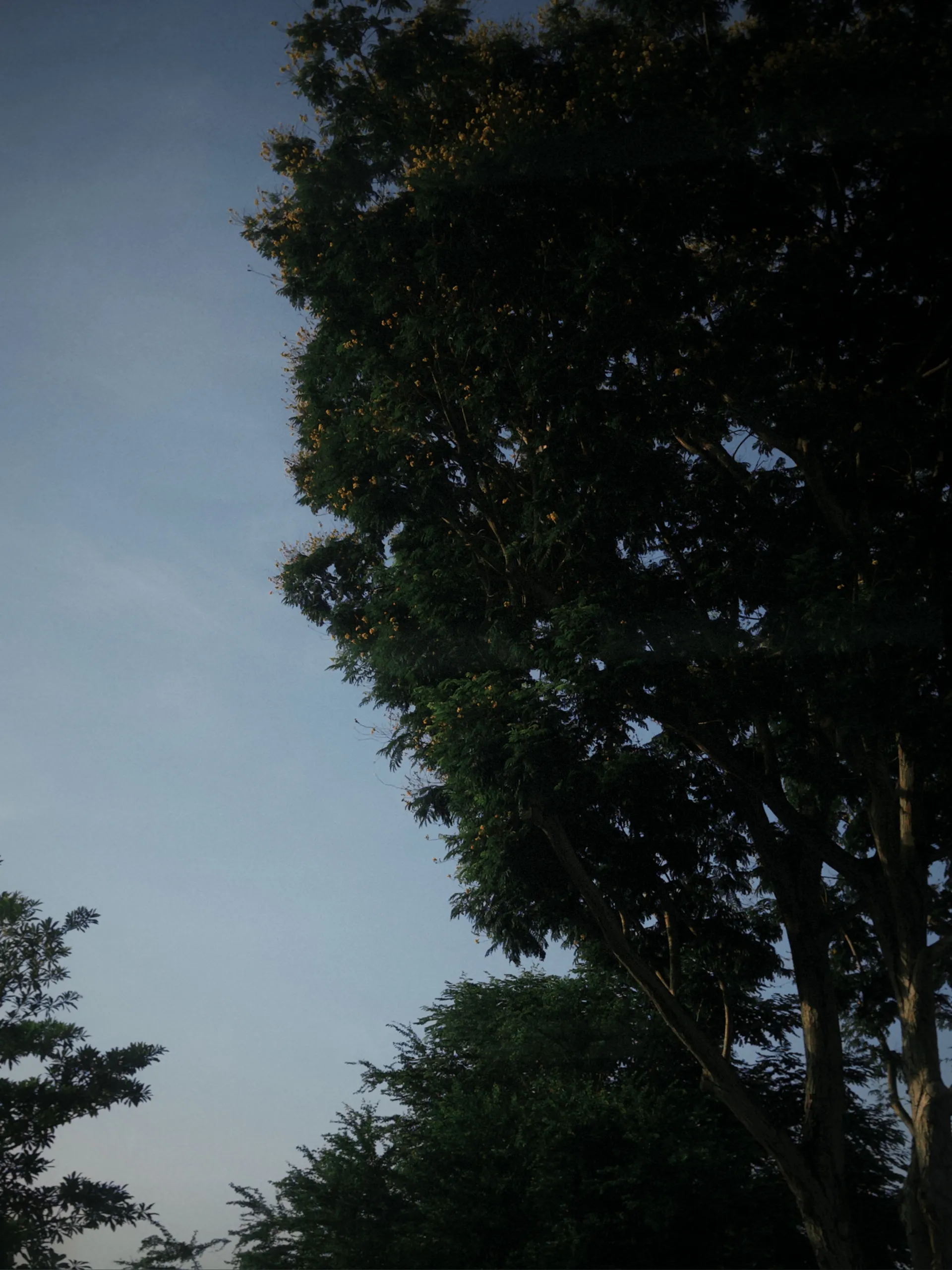 Junhaooow OnlyFans header