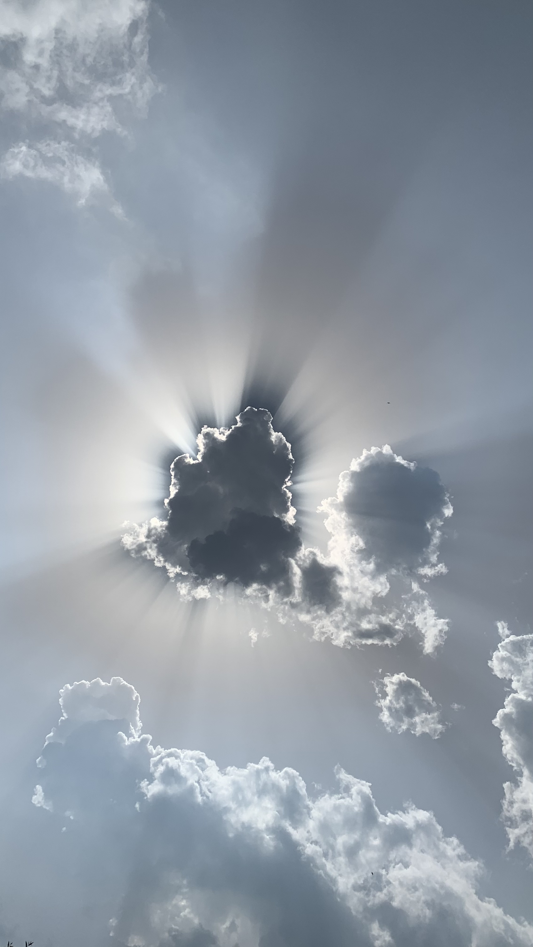 Wladis.love OnlyFans header