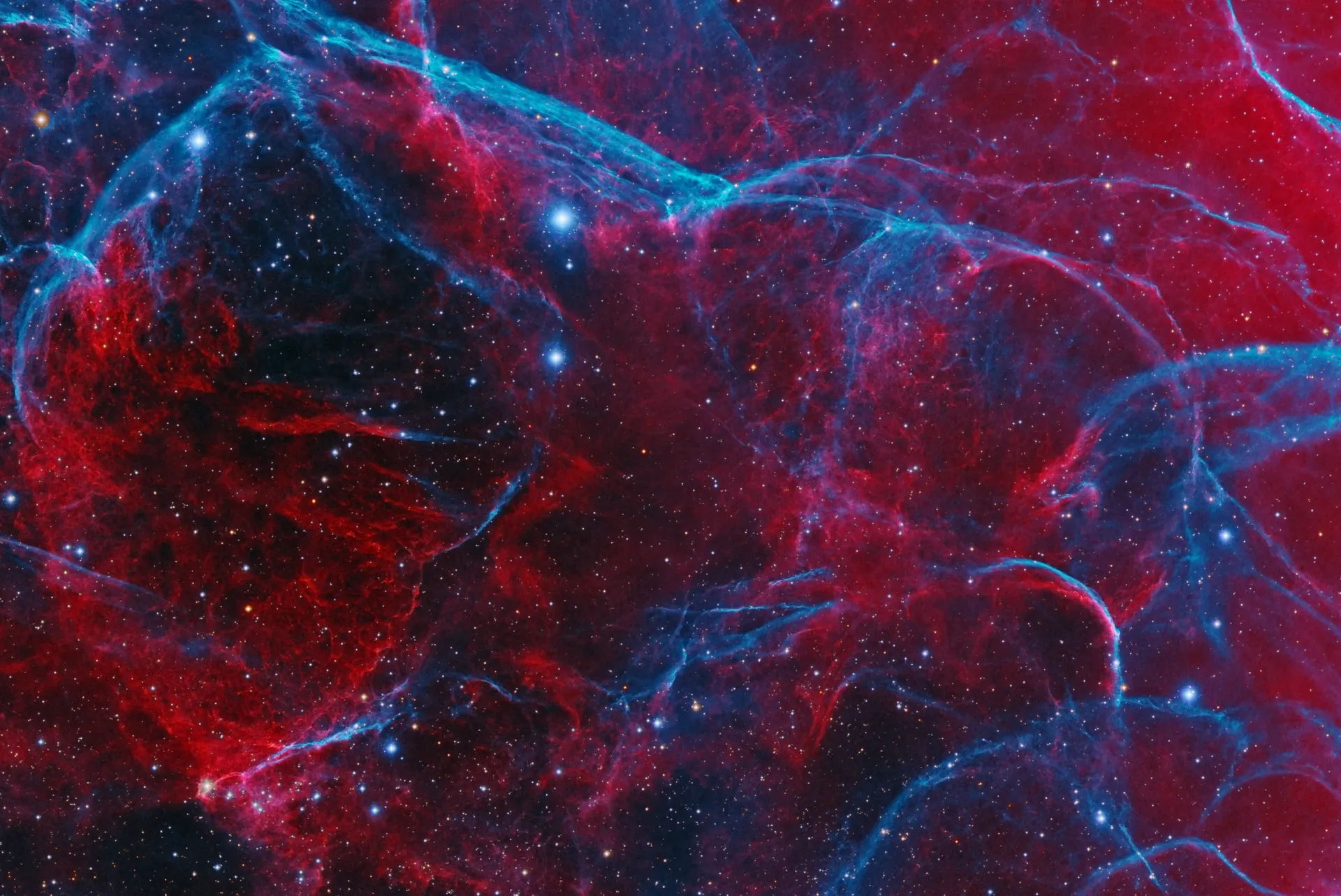 William OnlyFans header