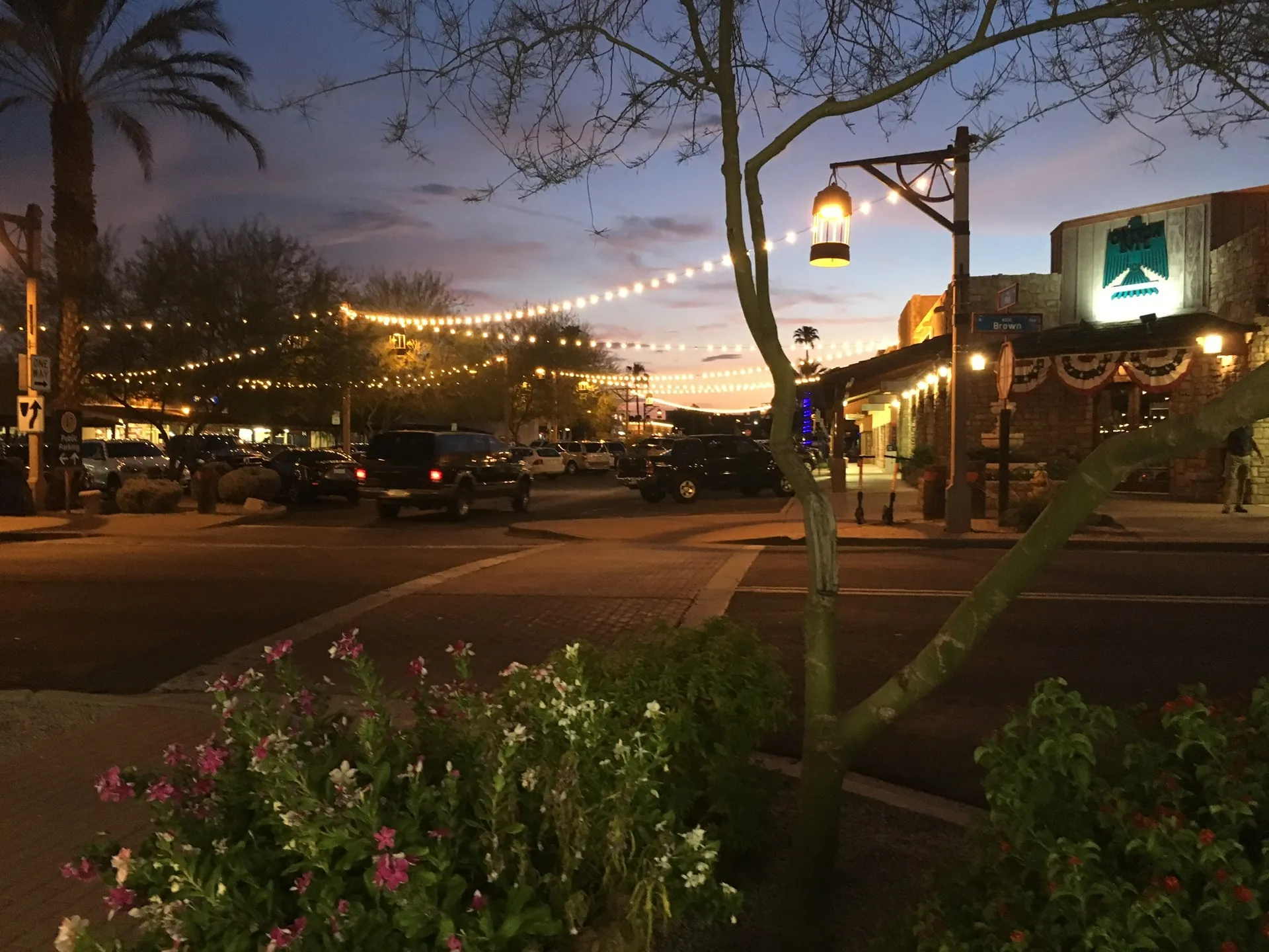 wobbly OnlyFans header