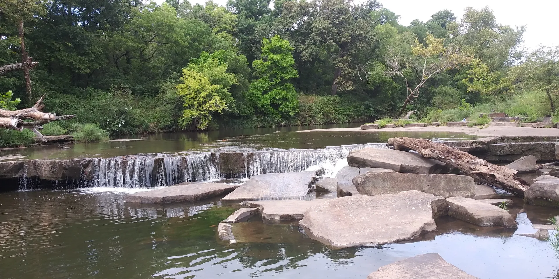 Randy Morningwood OnlyFans header