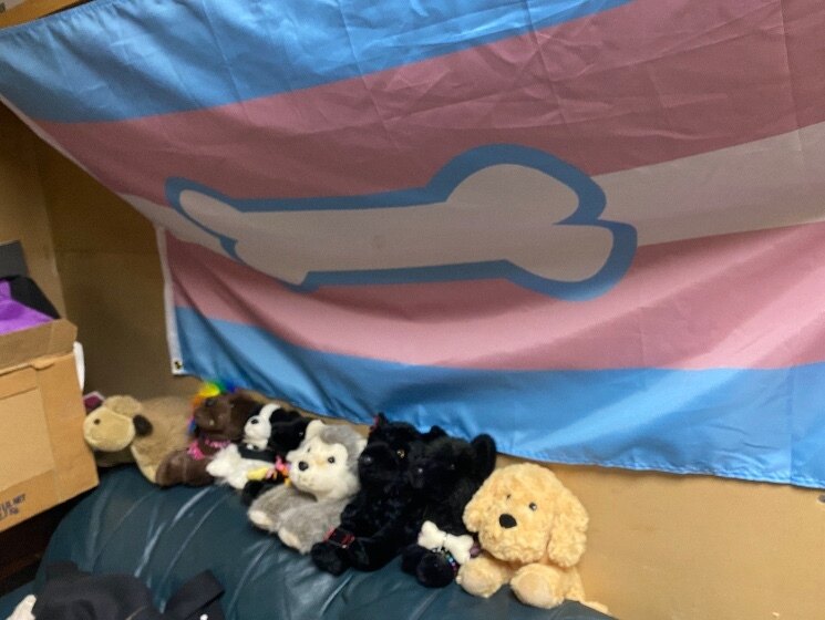 wolf &amp; mouse (t4t) OnlyFans header