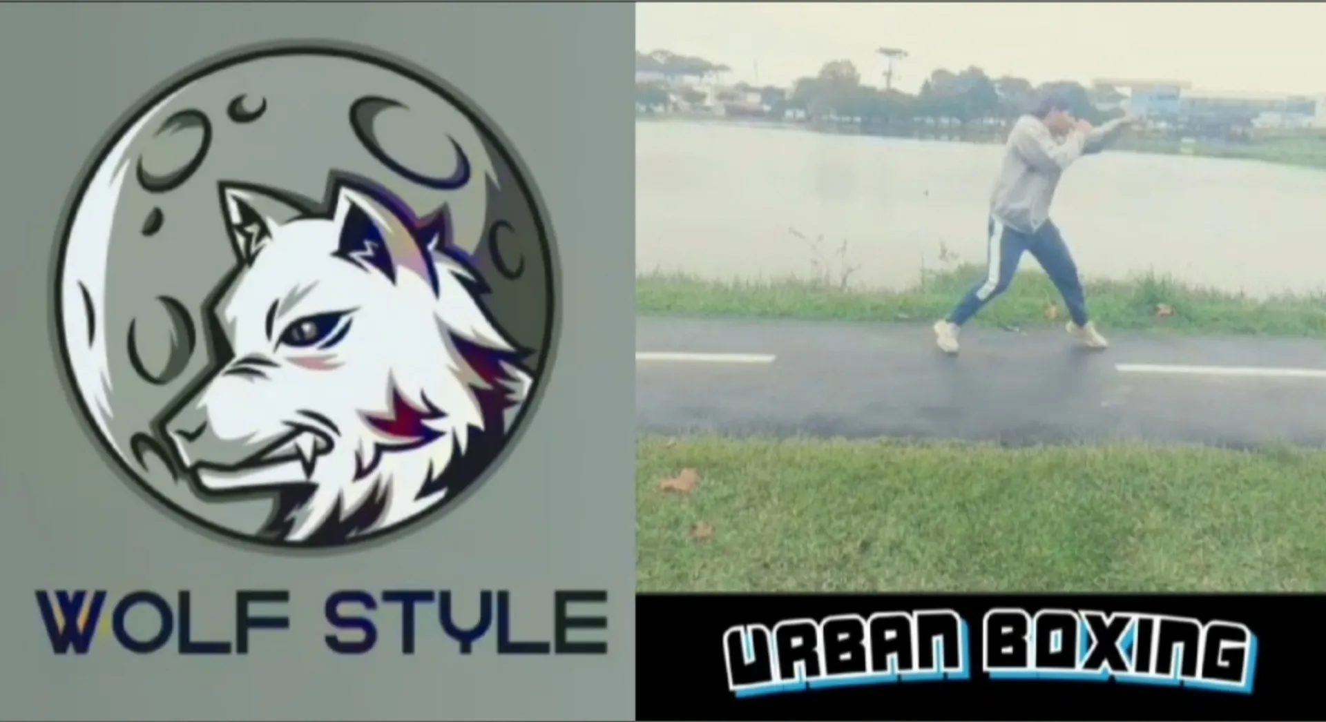 Wolf Style cover