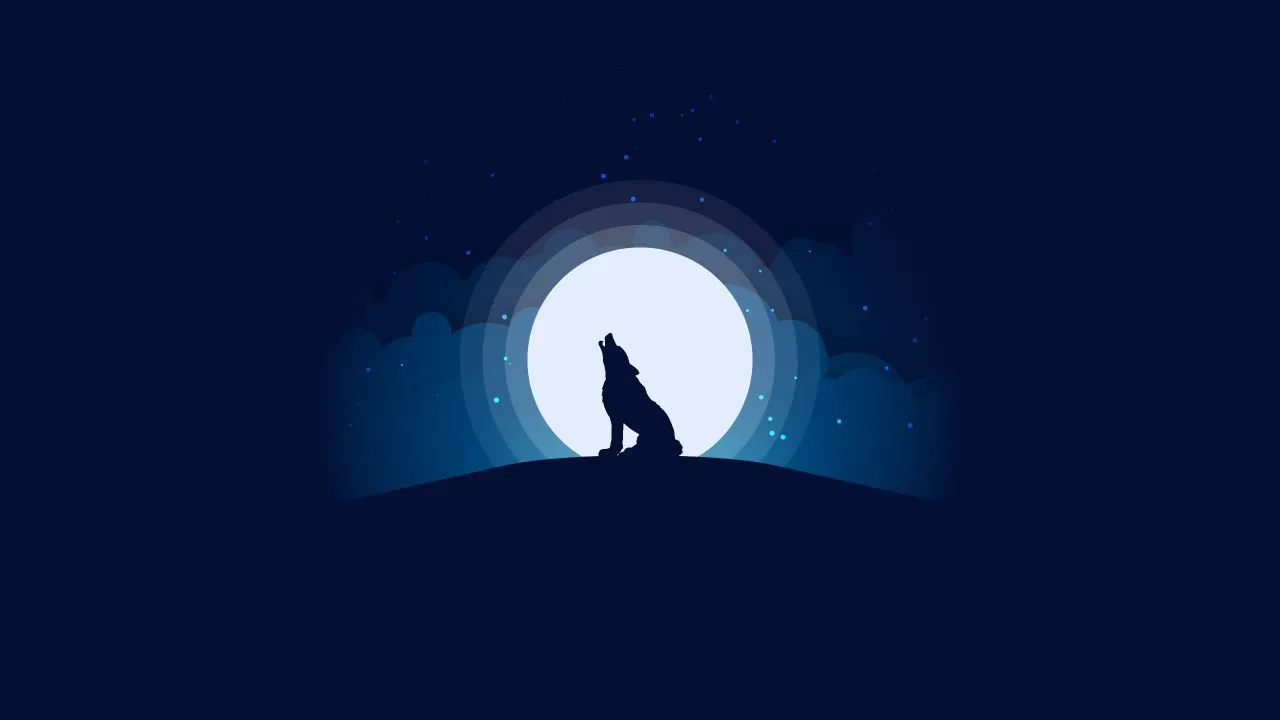 Wolf Wester cover