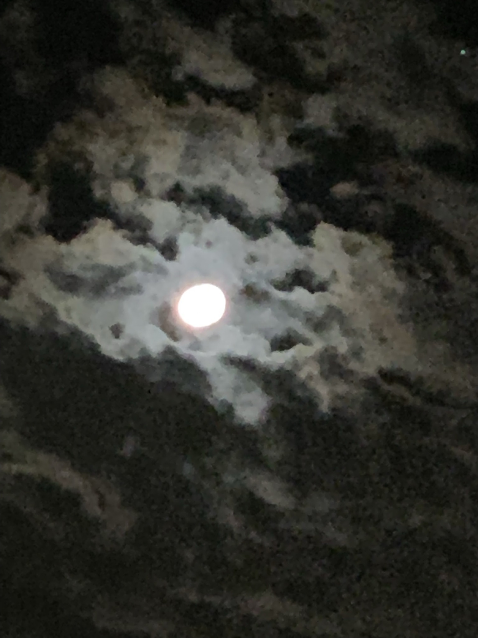 Wolf025 OnlyFans header