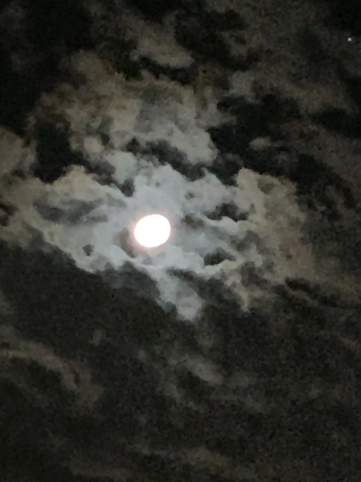 Wolf025 OnlyFans header