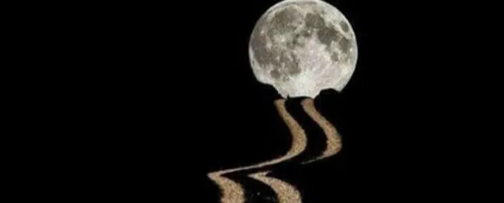 Wolf4Life OnlyFans header