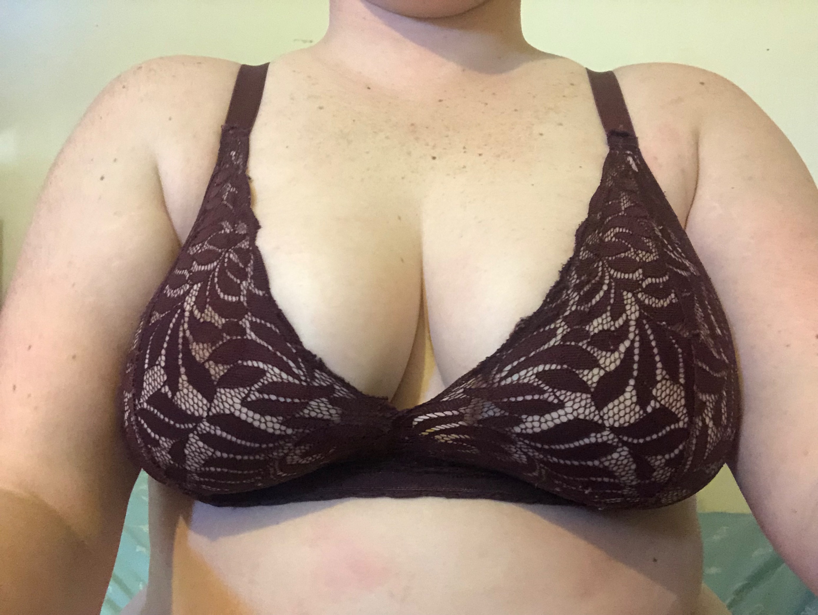 Lily-Rose OnlyFans header