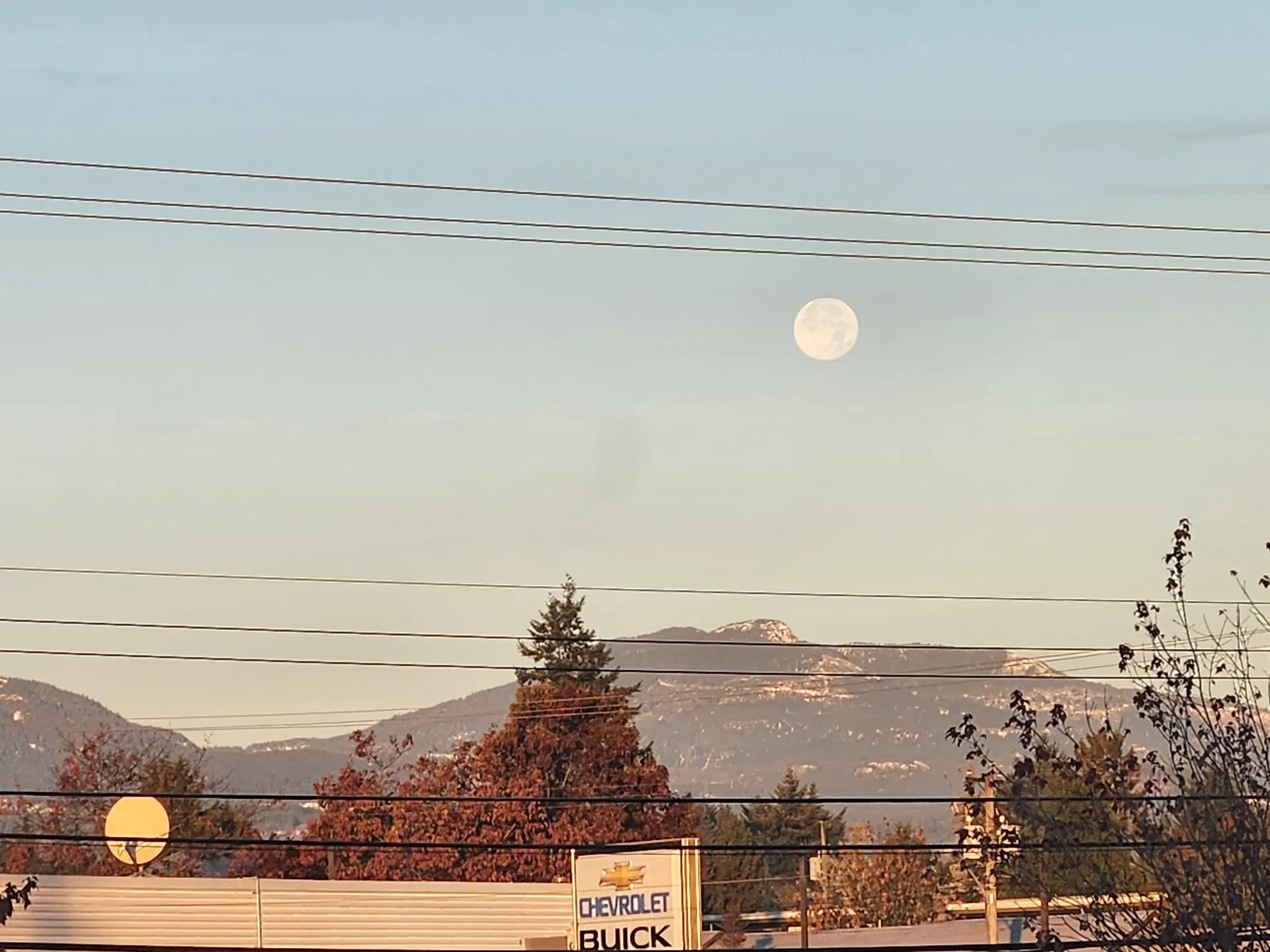 Wolf_Queen98 OnlyFans header