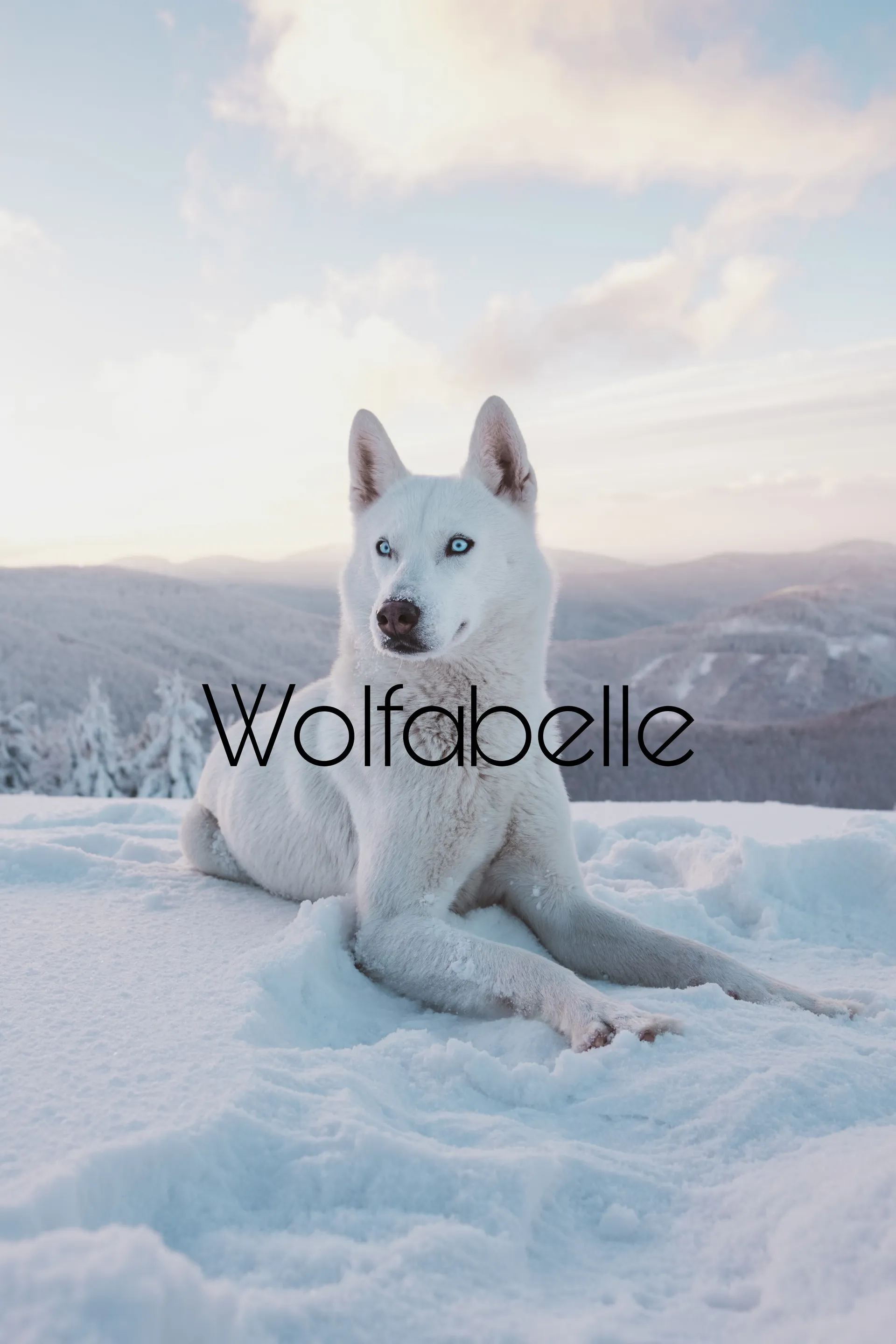 Wolfabelle OnlyFans header