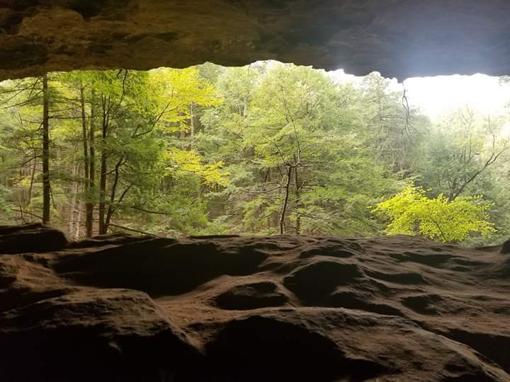 Wolfe OnlyFans header