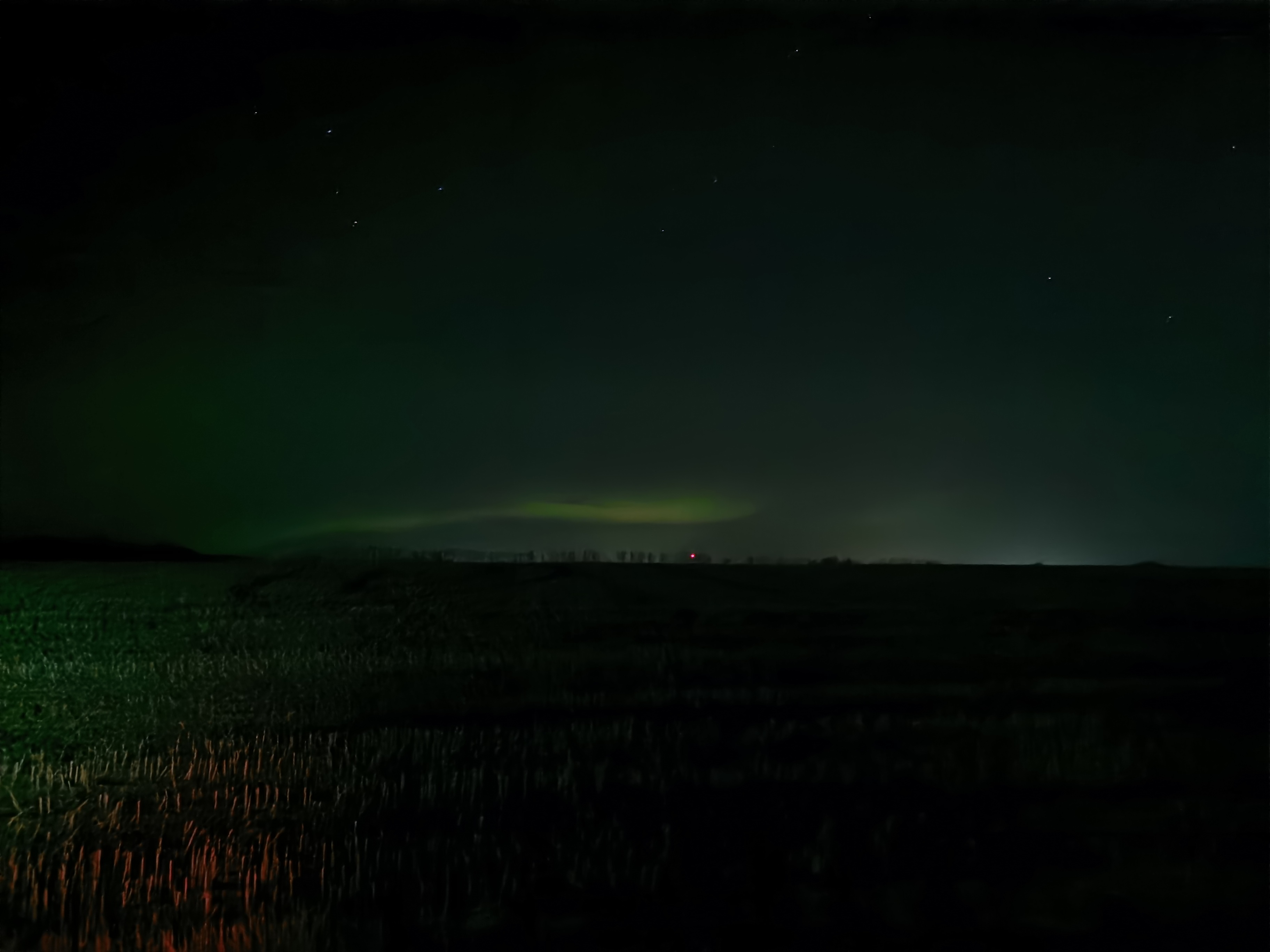 WolfeMan OnlyFans header