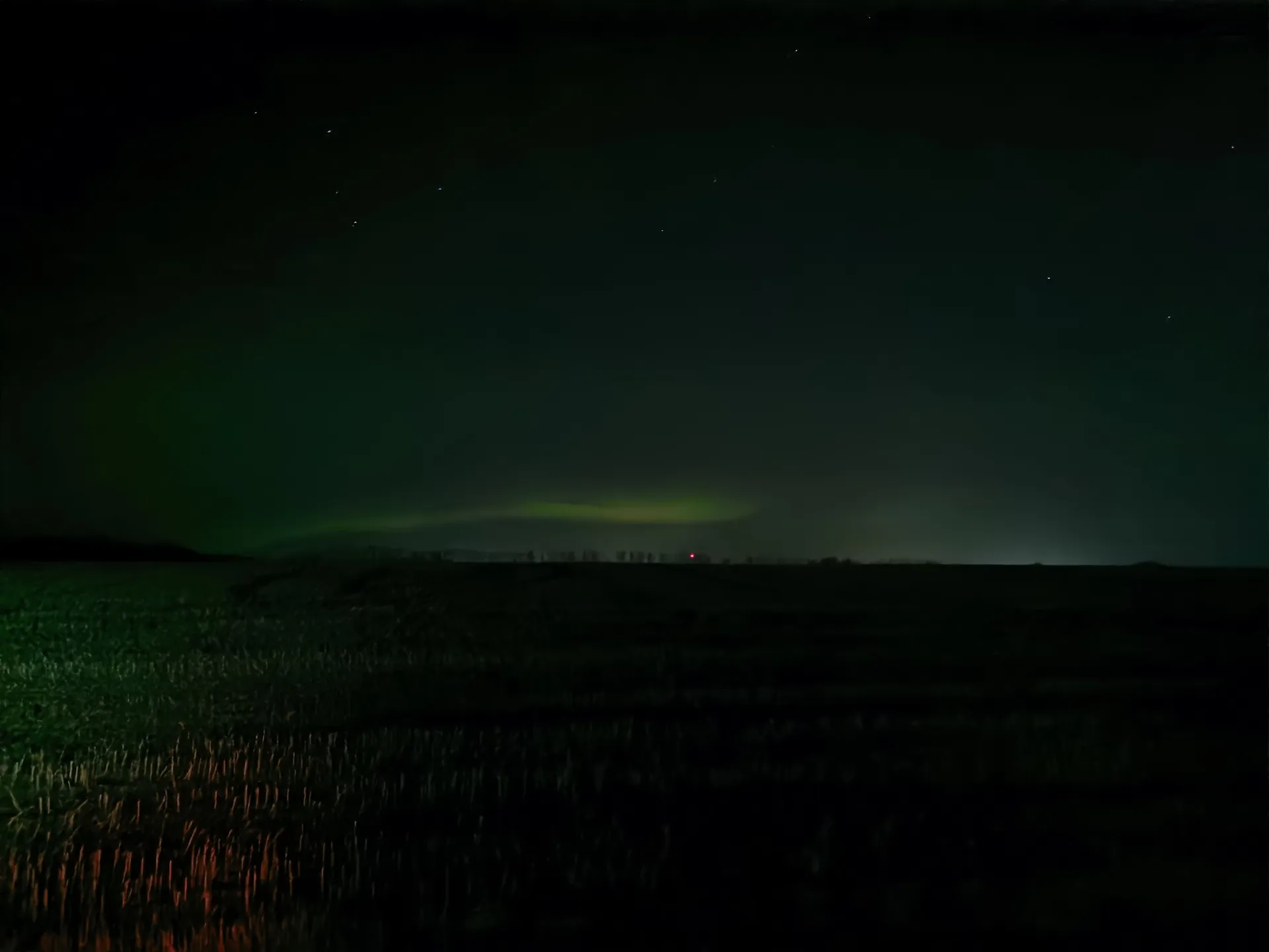 WolfeMan OnlyFans header