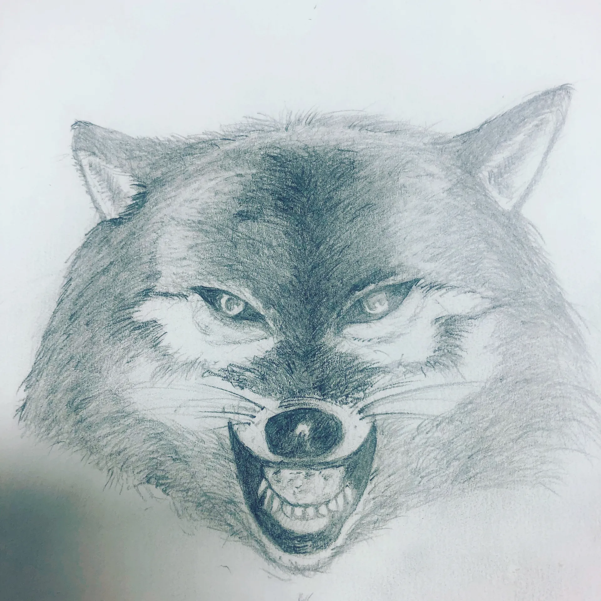 Wolfers37 OnlyFans header