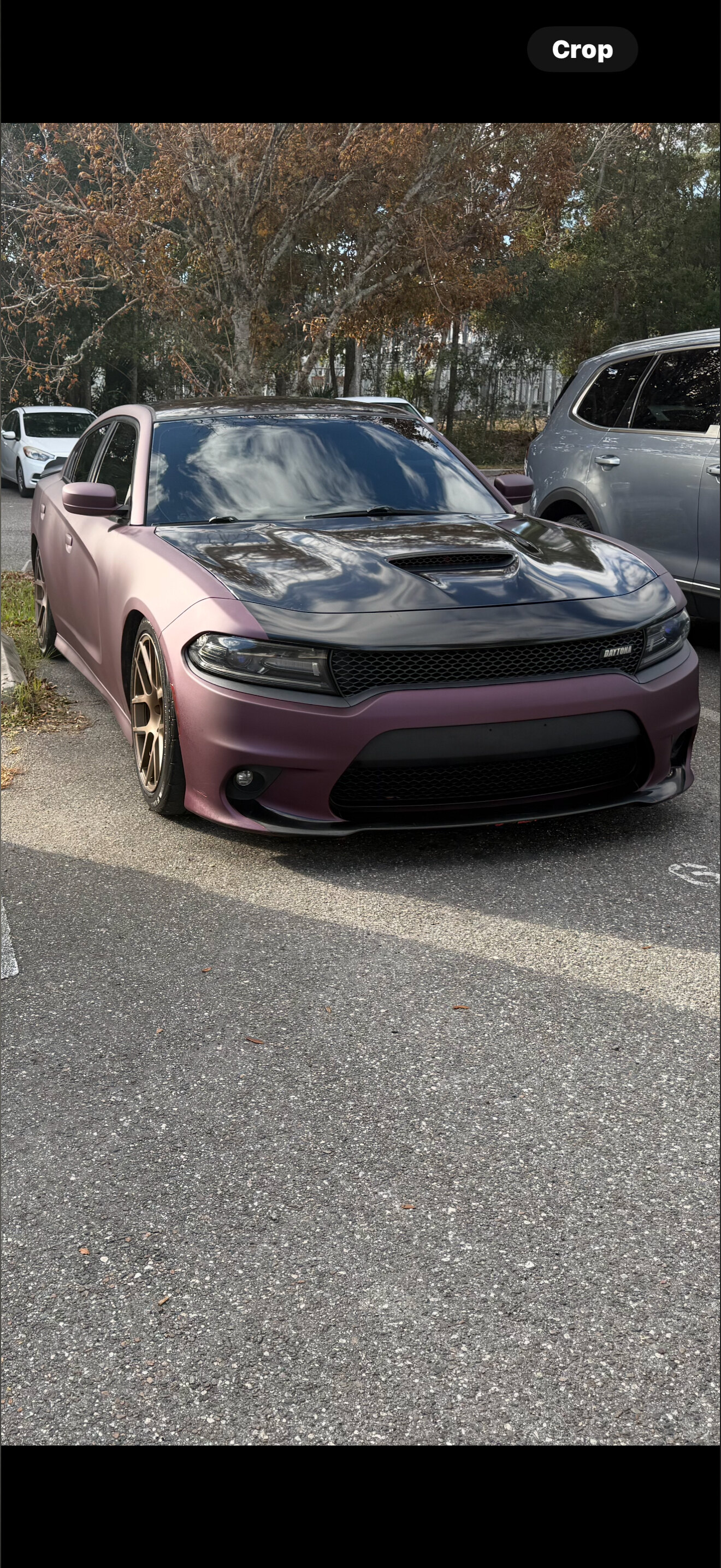 Joey OnlyFans header