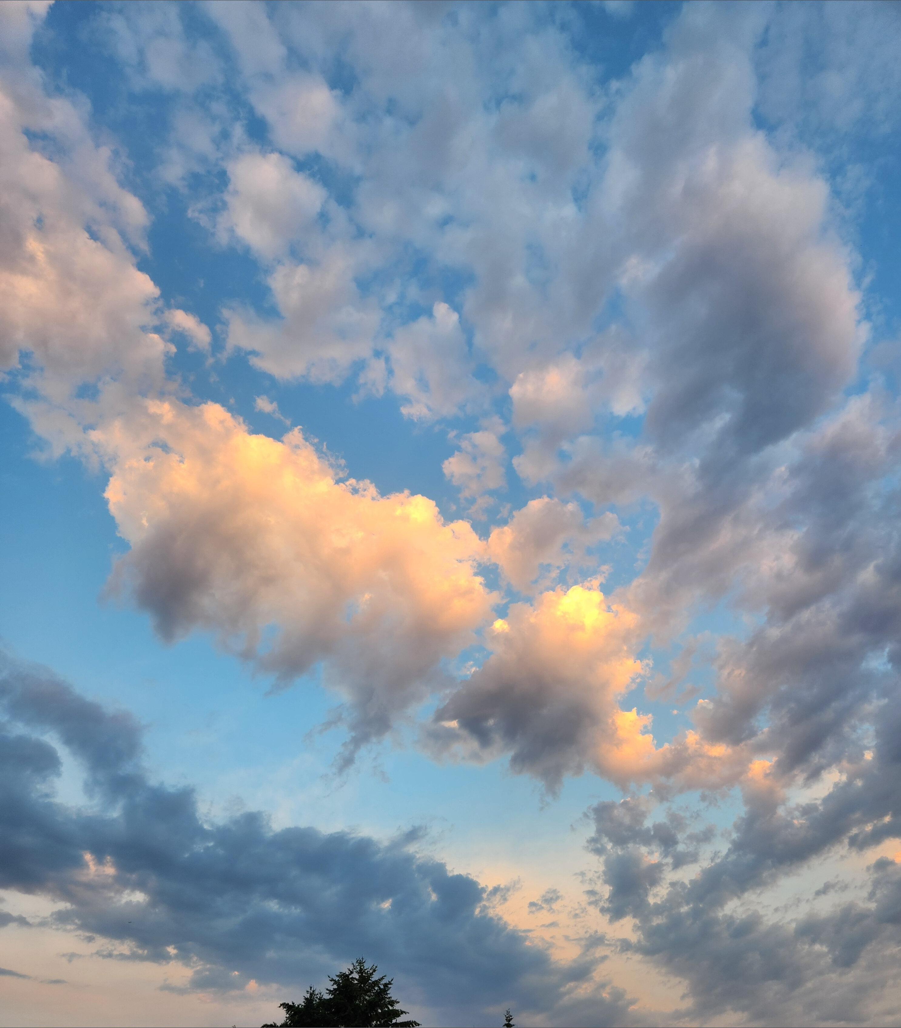 Derek kiser OnlyFans header