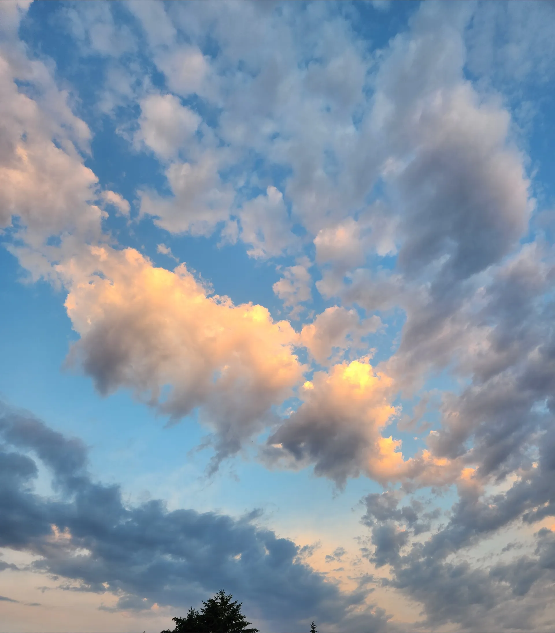 Derek kiser OnlyFans header