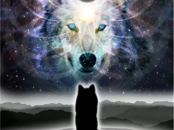 wolfie OnlyFans header