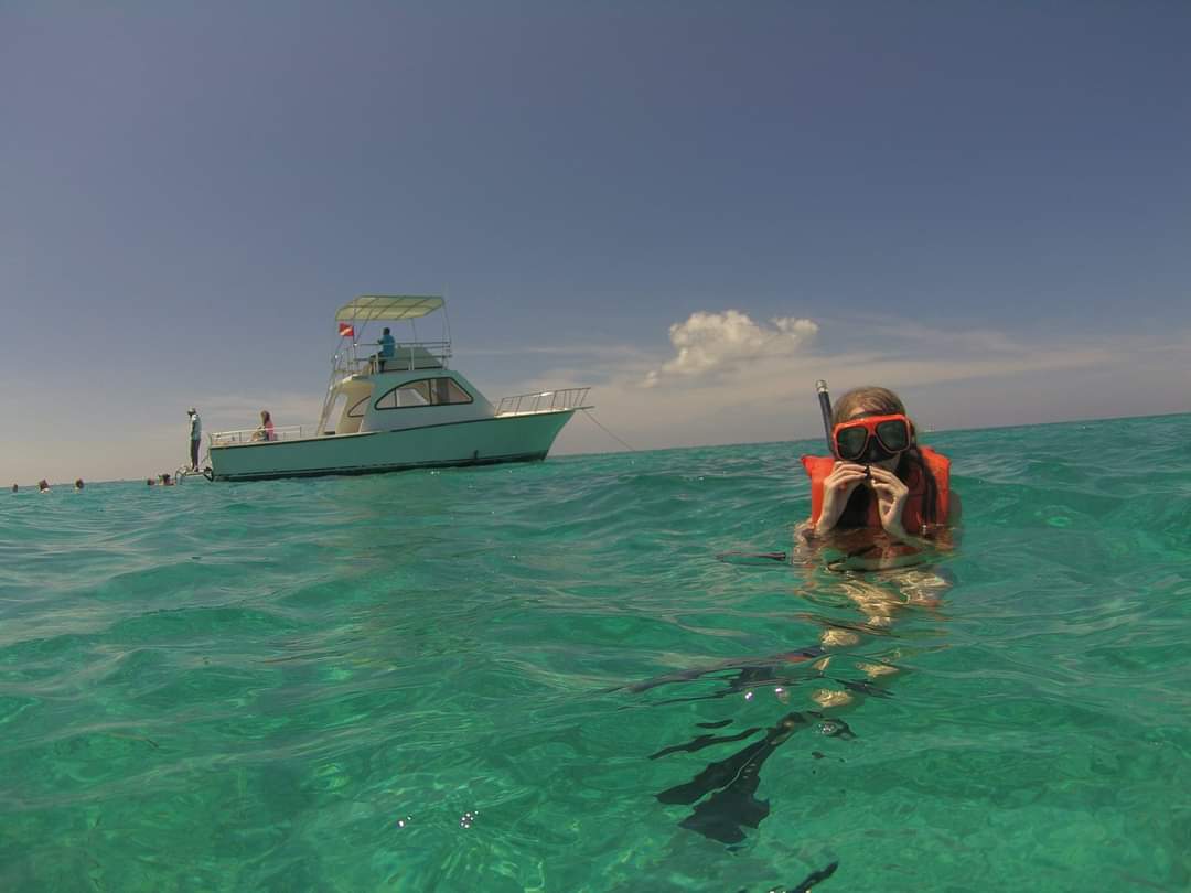 Wolfiegirl17 OnlyFans header