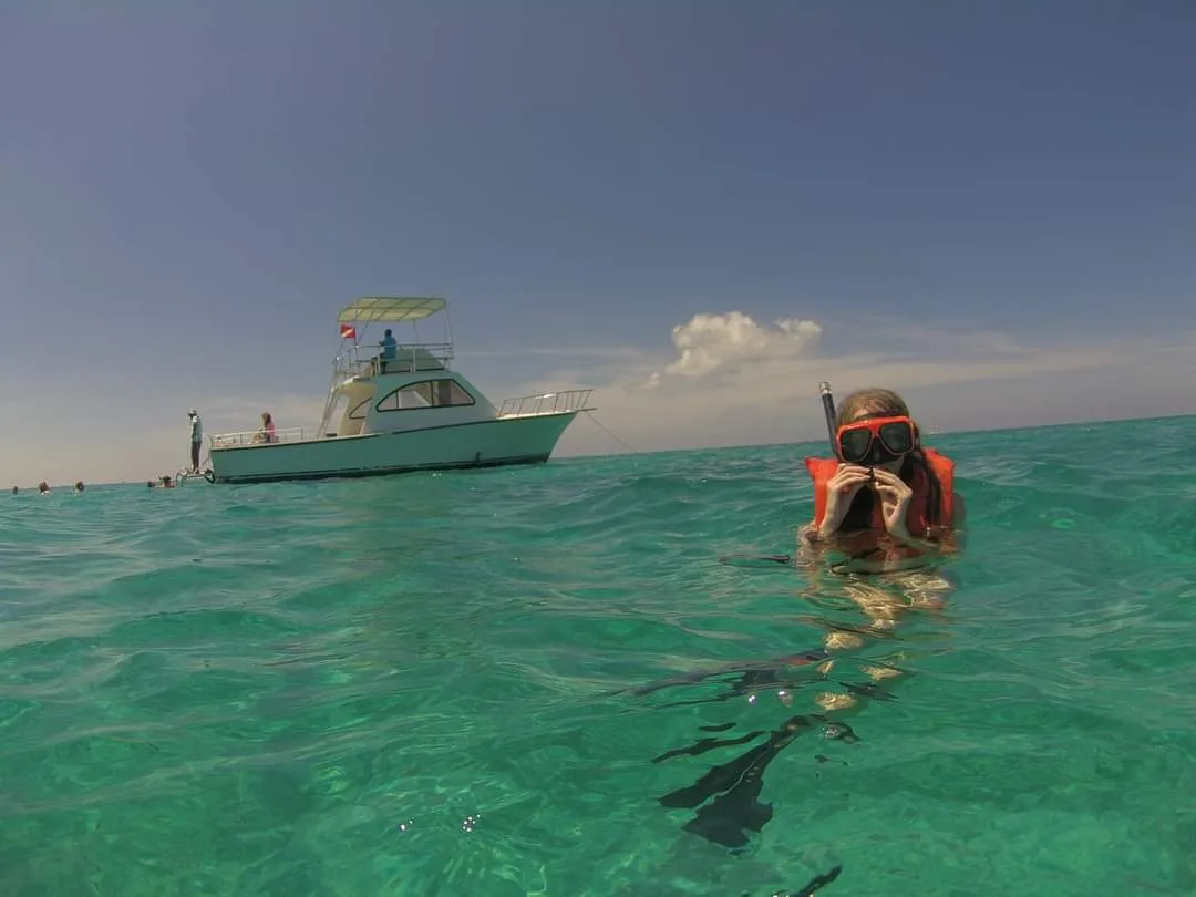 Wolfiegirl17 OnlyFans header