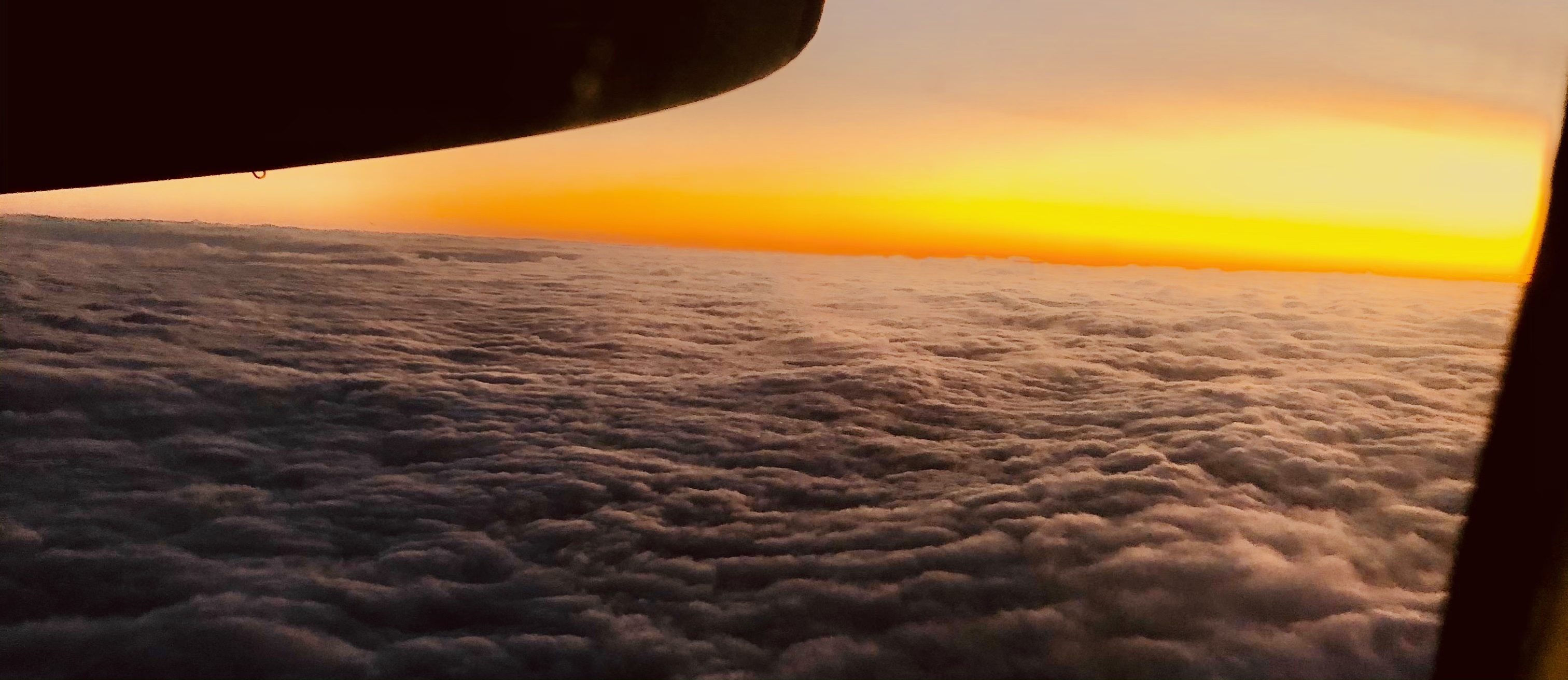 Wolfie Devil OnlyFans header