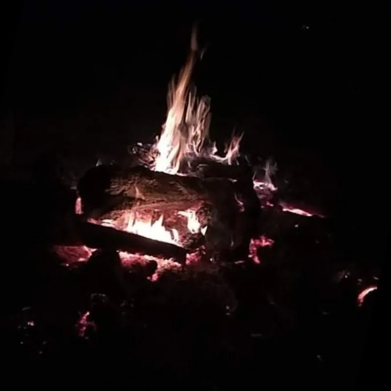 Wolfie Fresh OnlyFans header