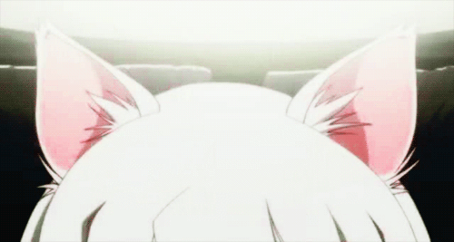 WolfieZaiah OnlyFans header