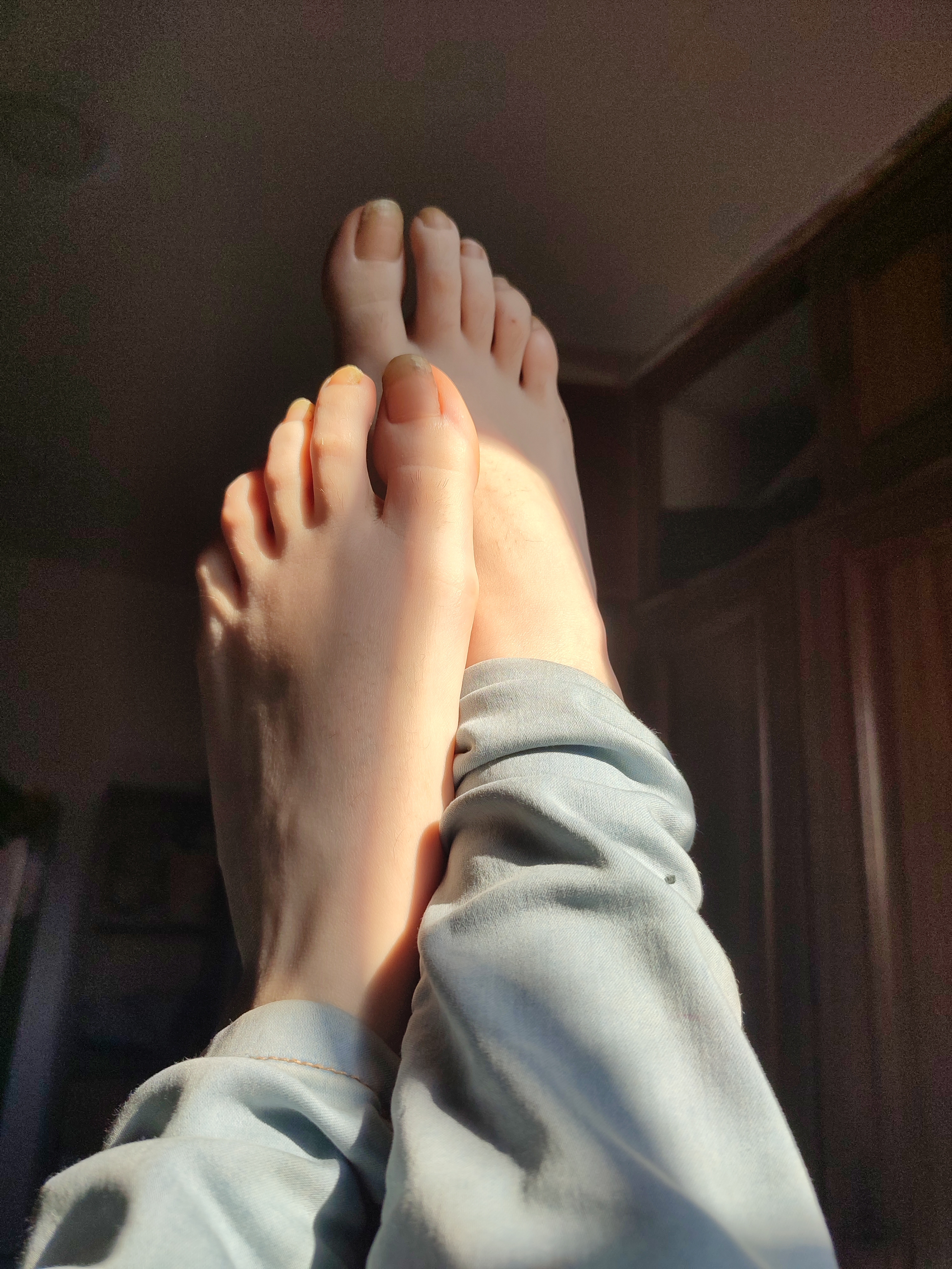 Wolfilla OnlyFans header