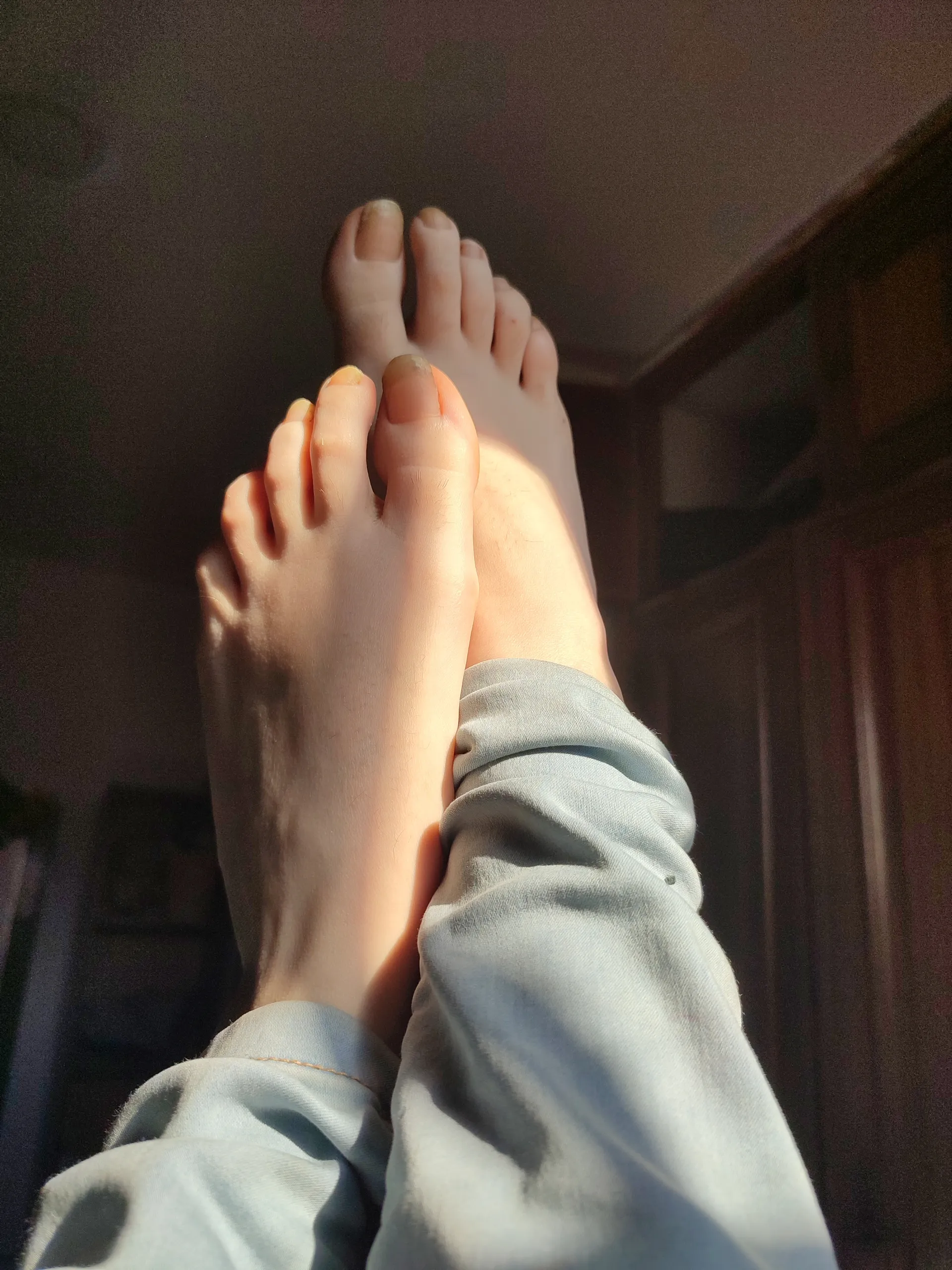 Wolfilla OnlyFans header